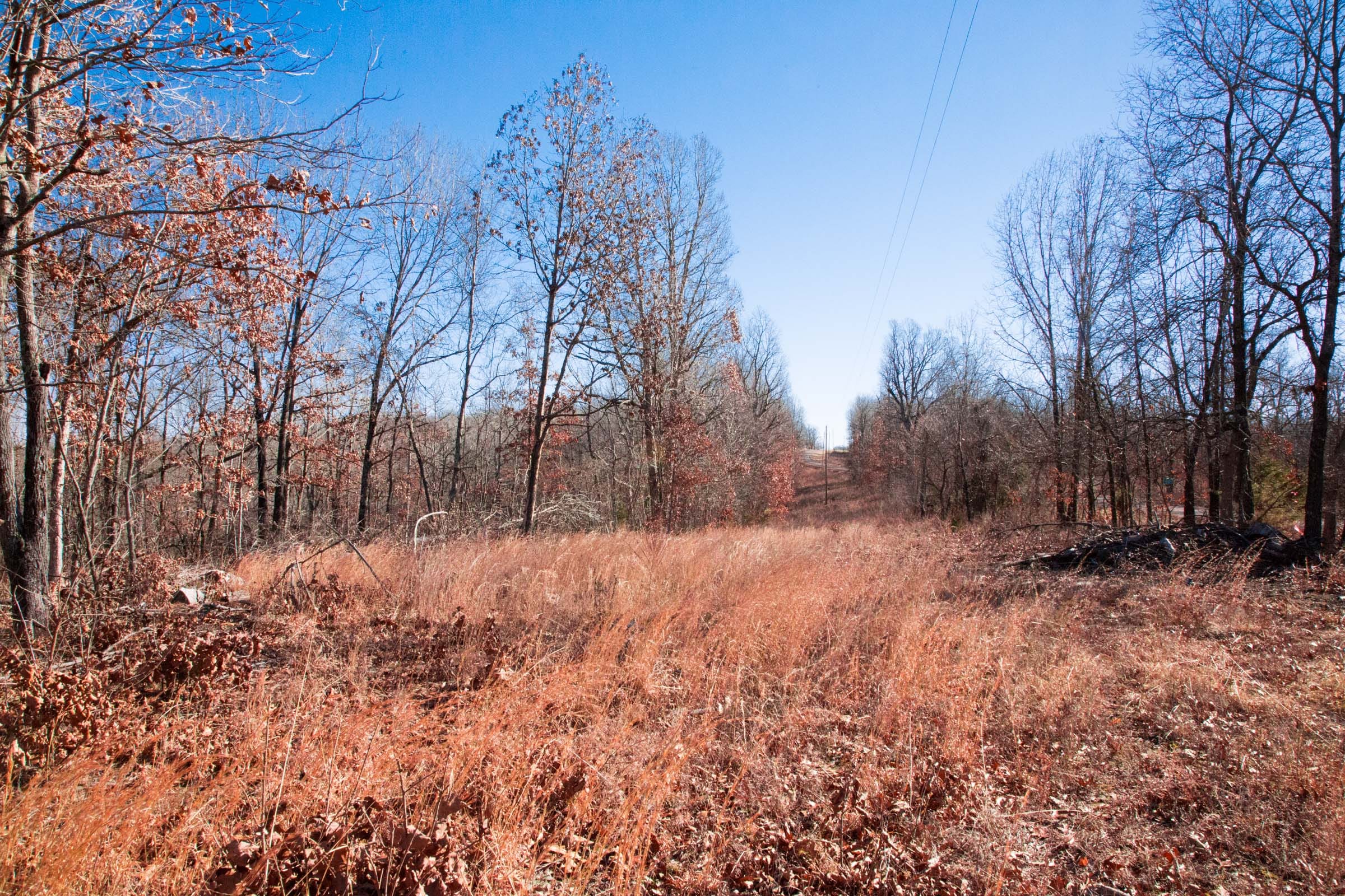 Buffalo Hills Tract 2 photo 5