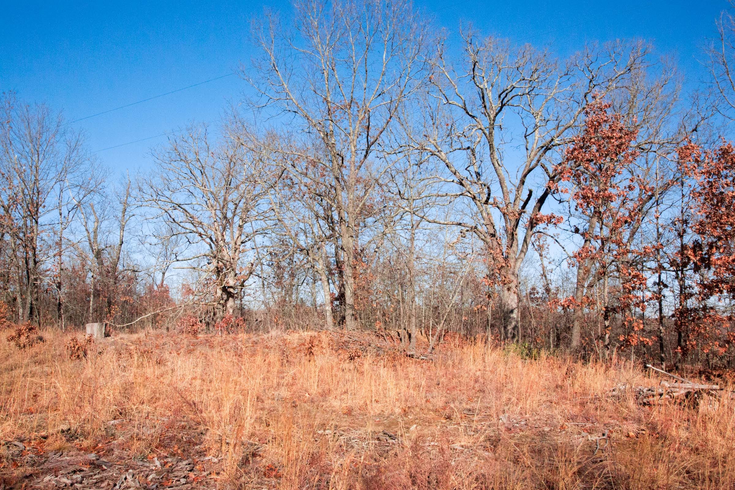 Buffalo Hills Tract 2 photo 7