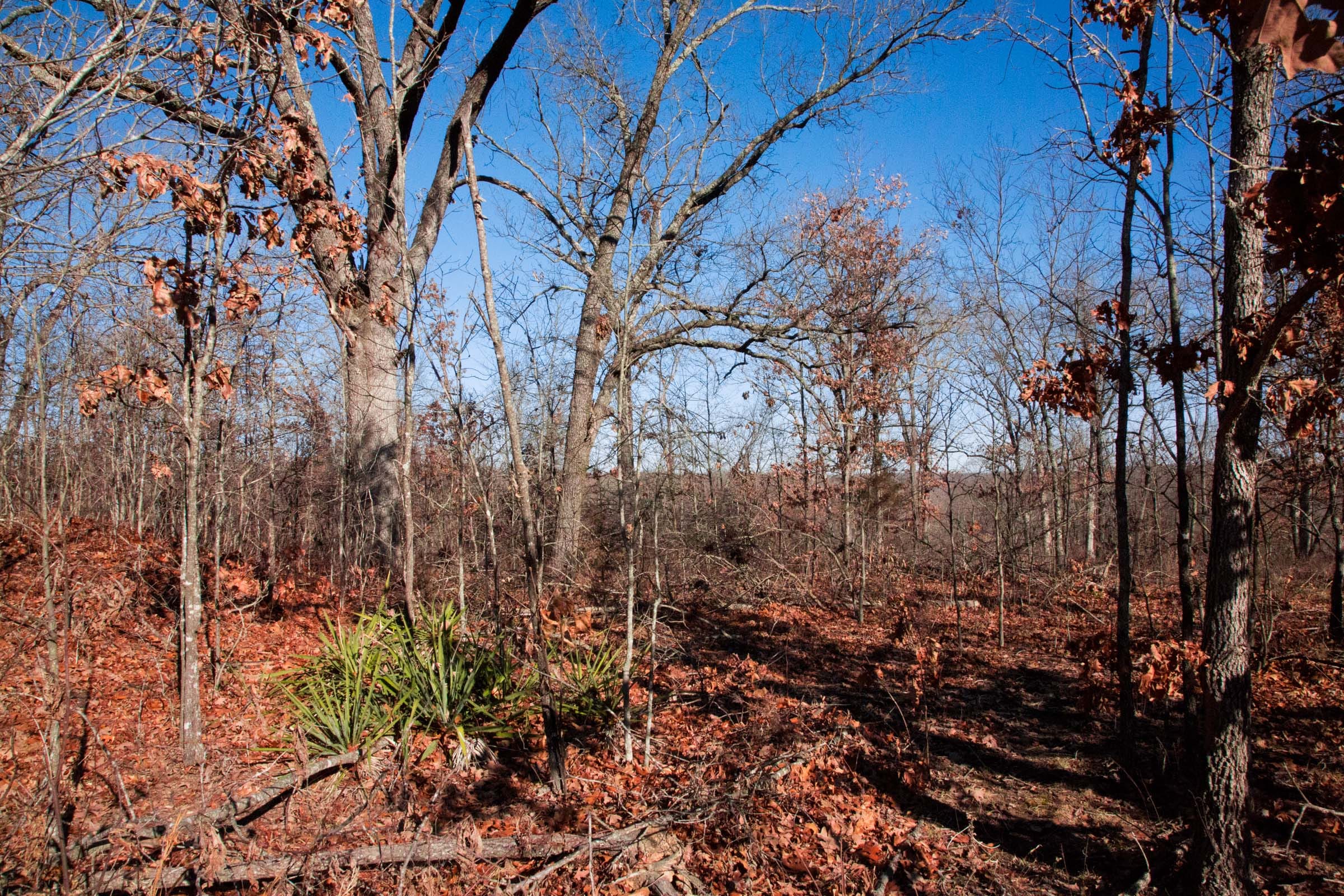 Buffalo Hills Tract 2 photo 8