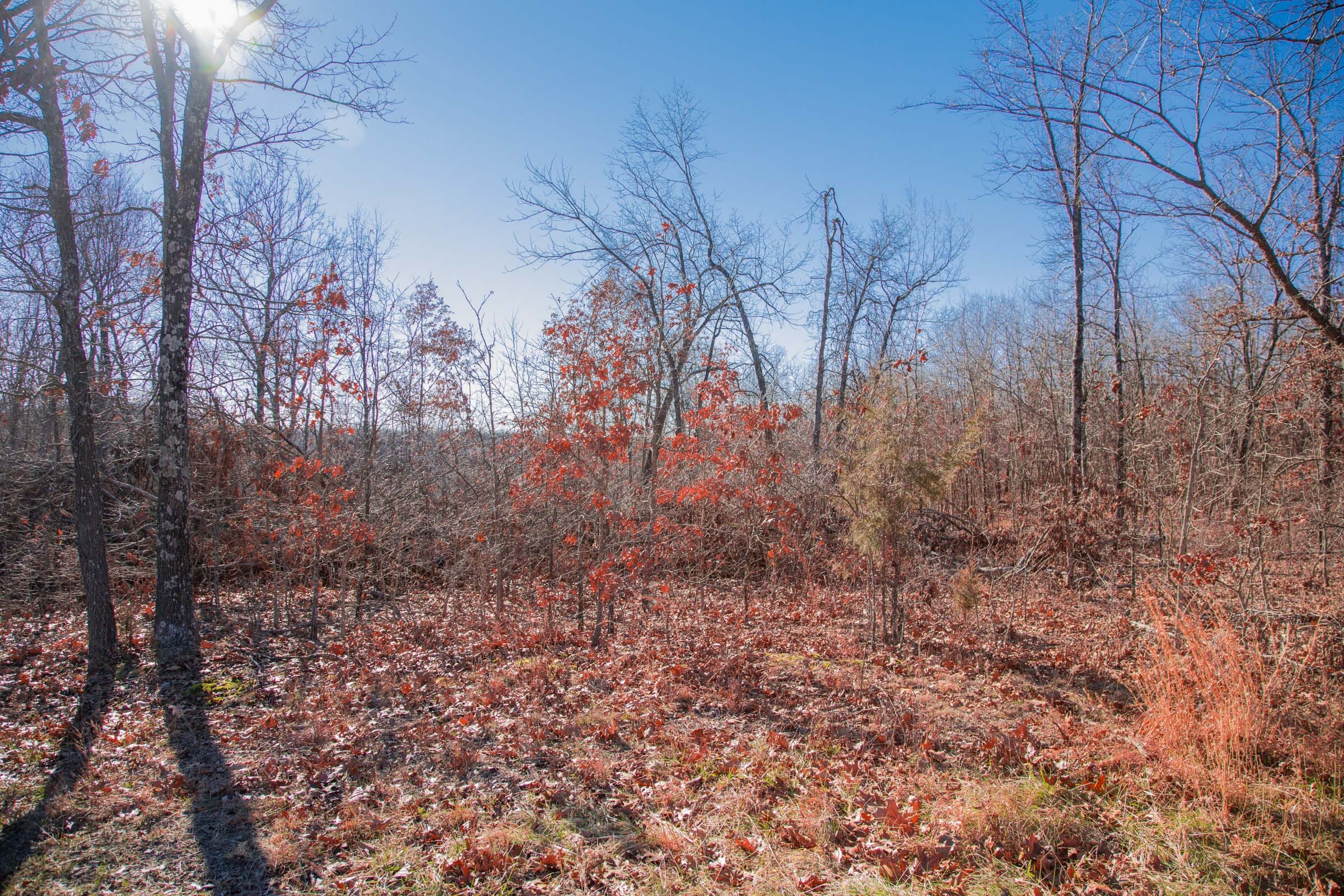 Buffalo Hills Tract 2 photo 10