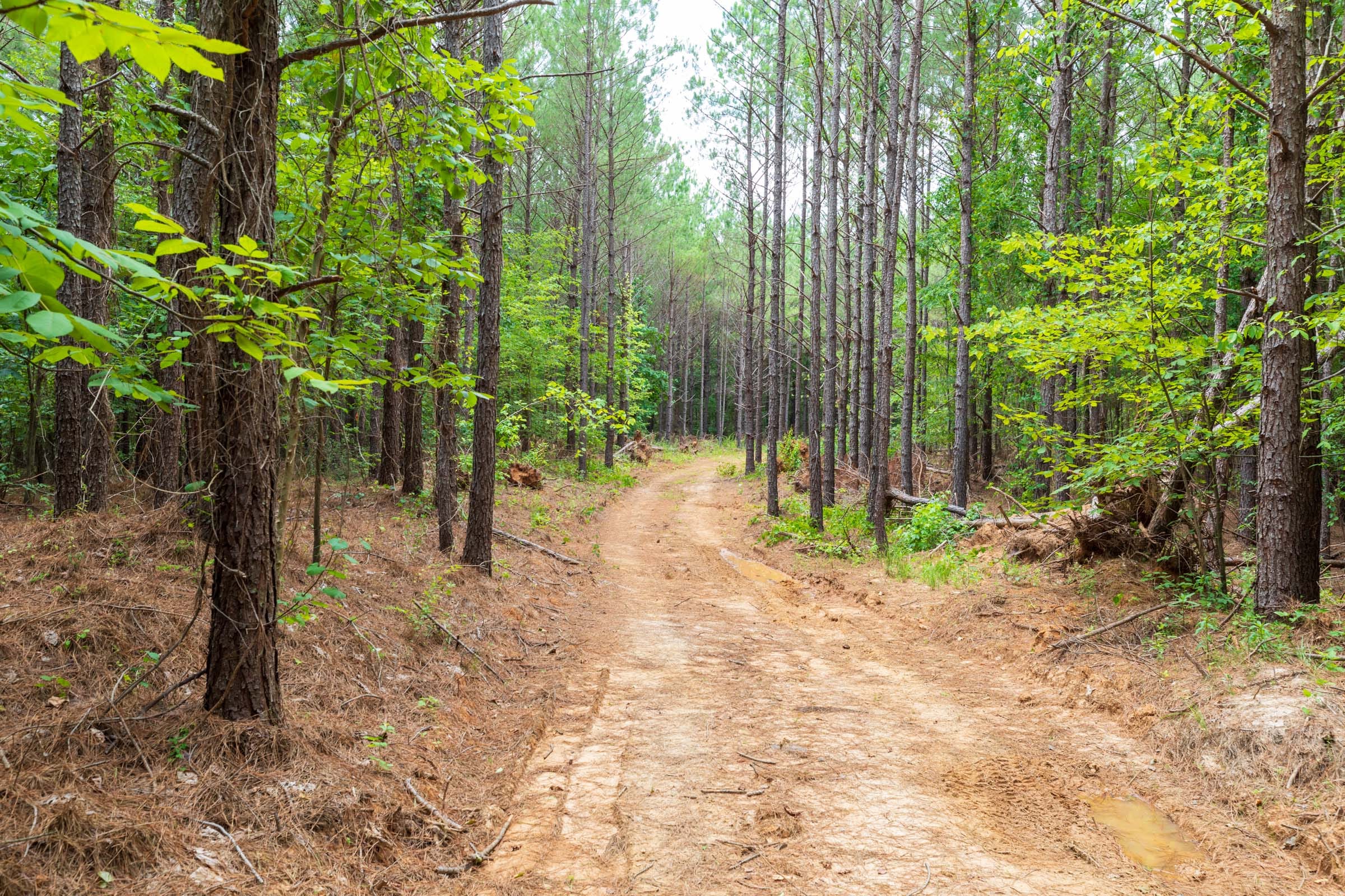 Whiskey Ridge Tract 33 photo 2