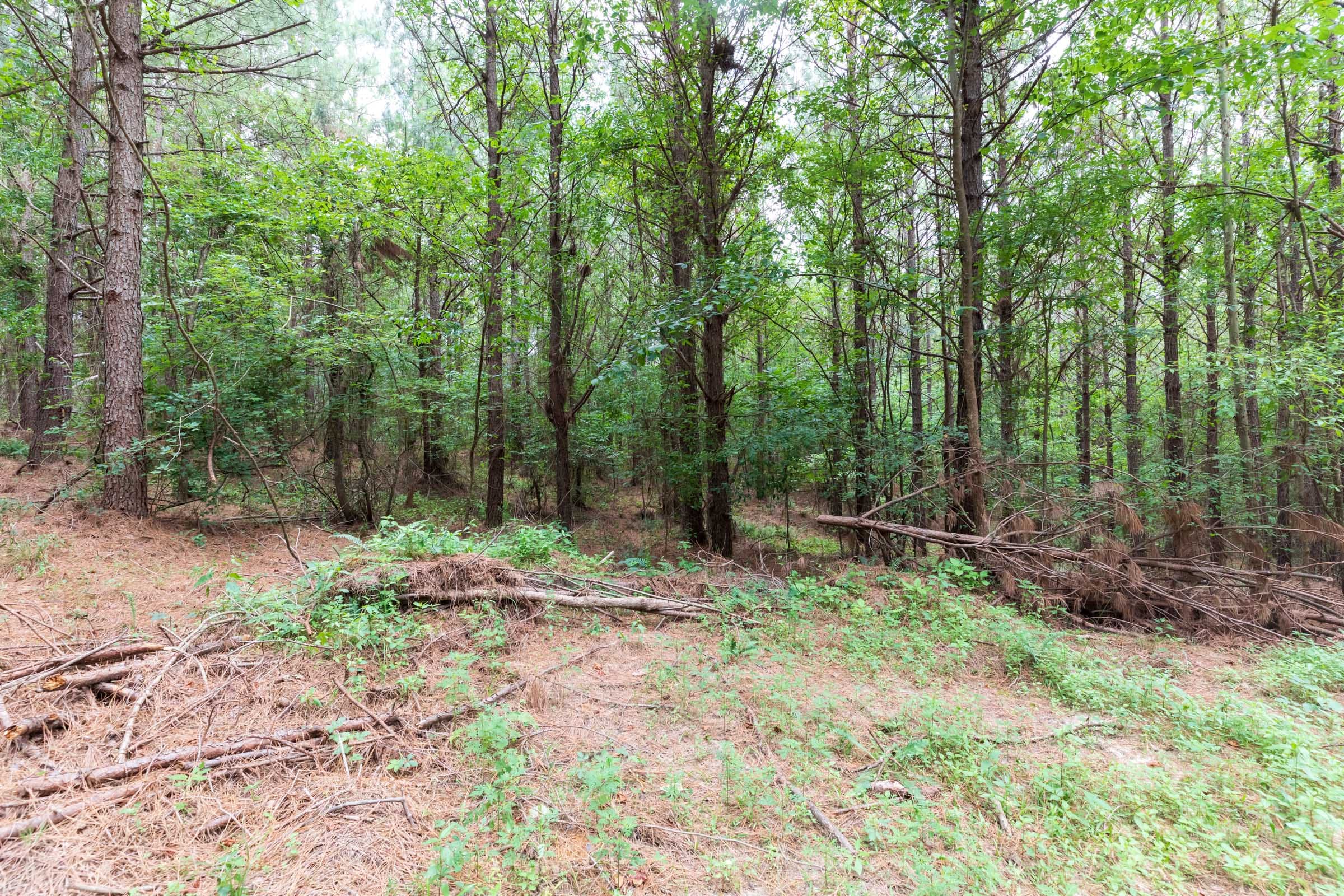 Whiskey Ridge Tract 33 photo 7