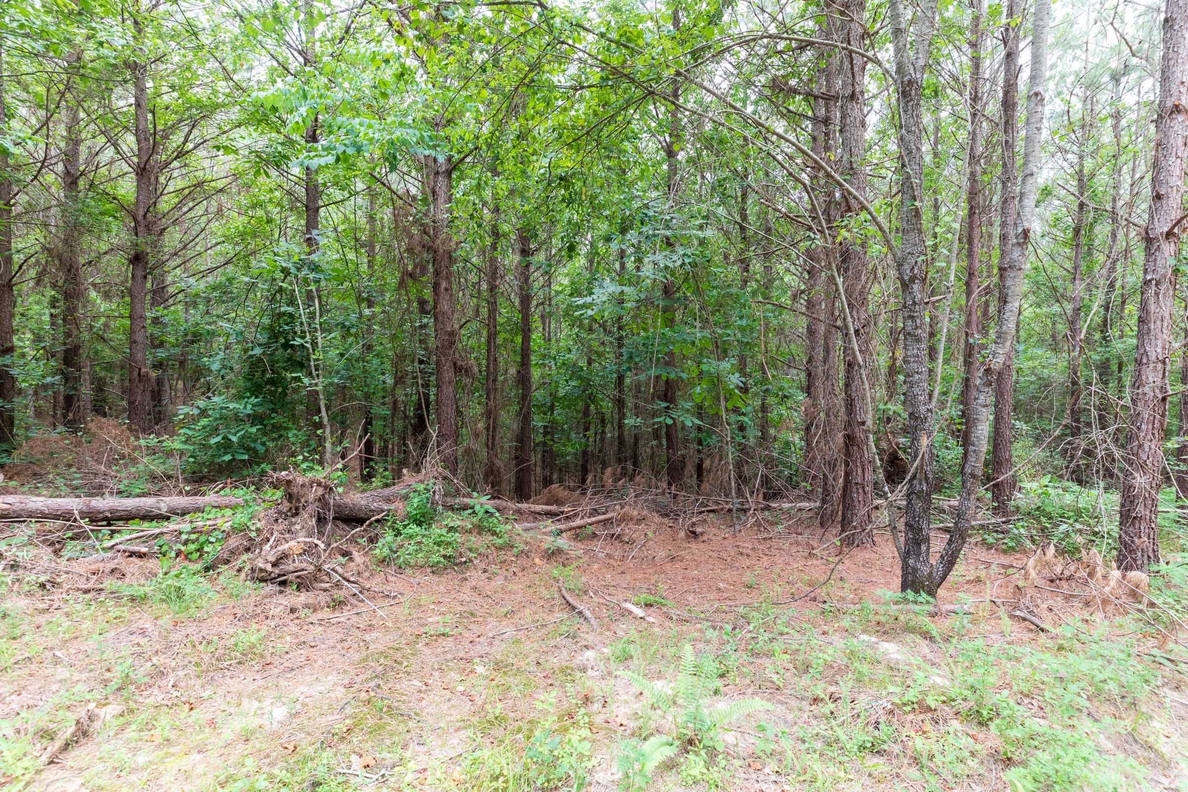 Whiskey Ridge Tract 33 photo 9
