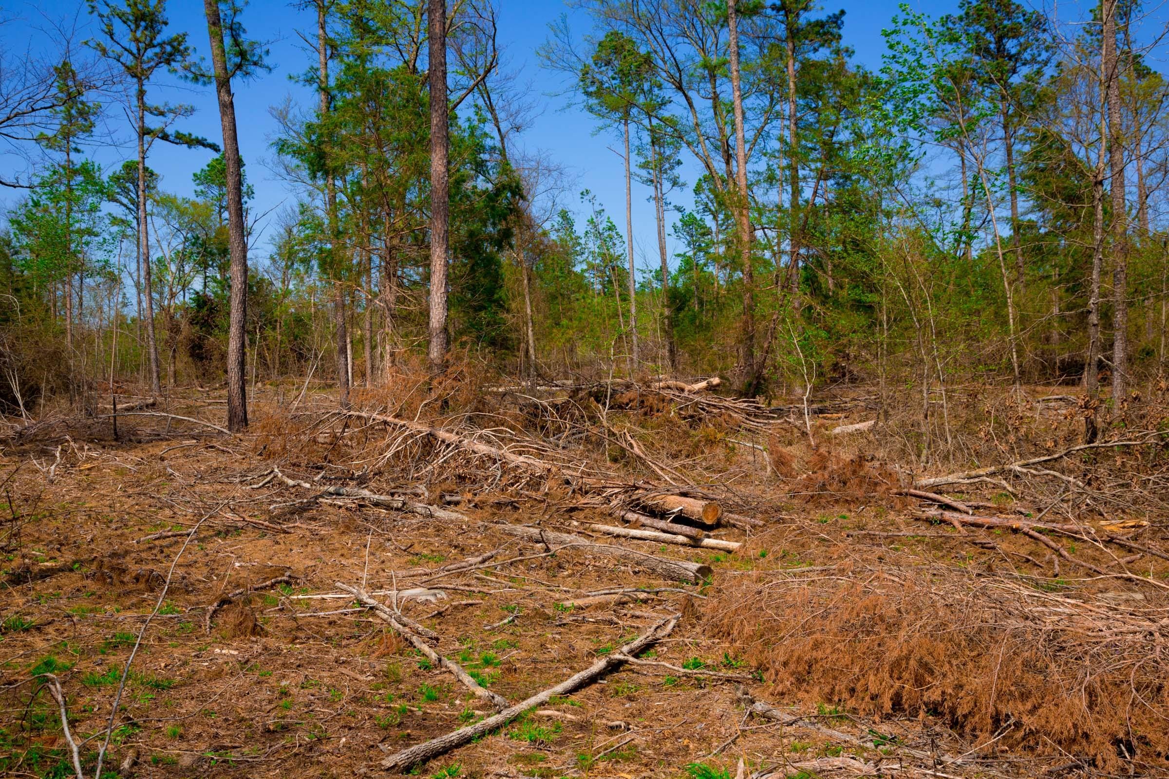 Stone Creek Phase II Tract 252 photo 3