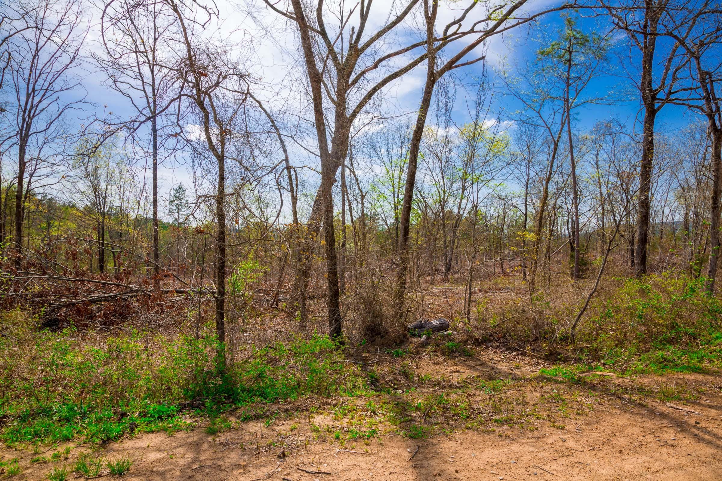 Stone Creek Phase II Tract 252 photo 4