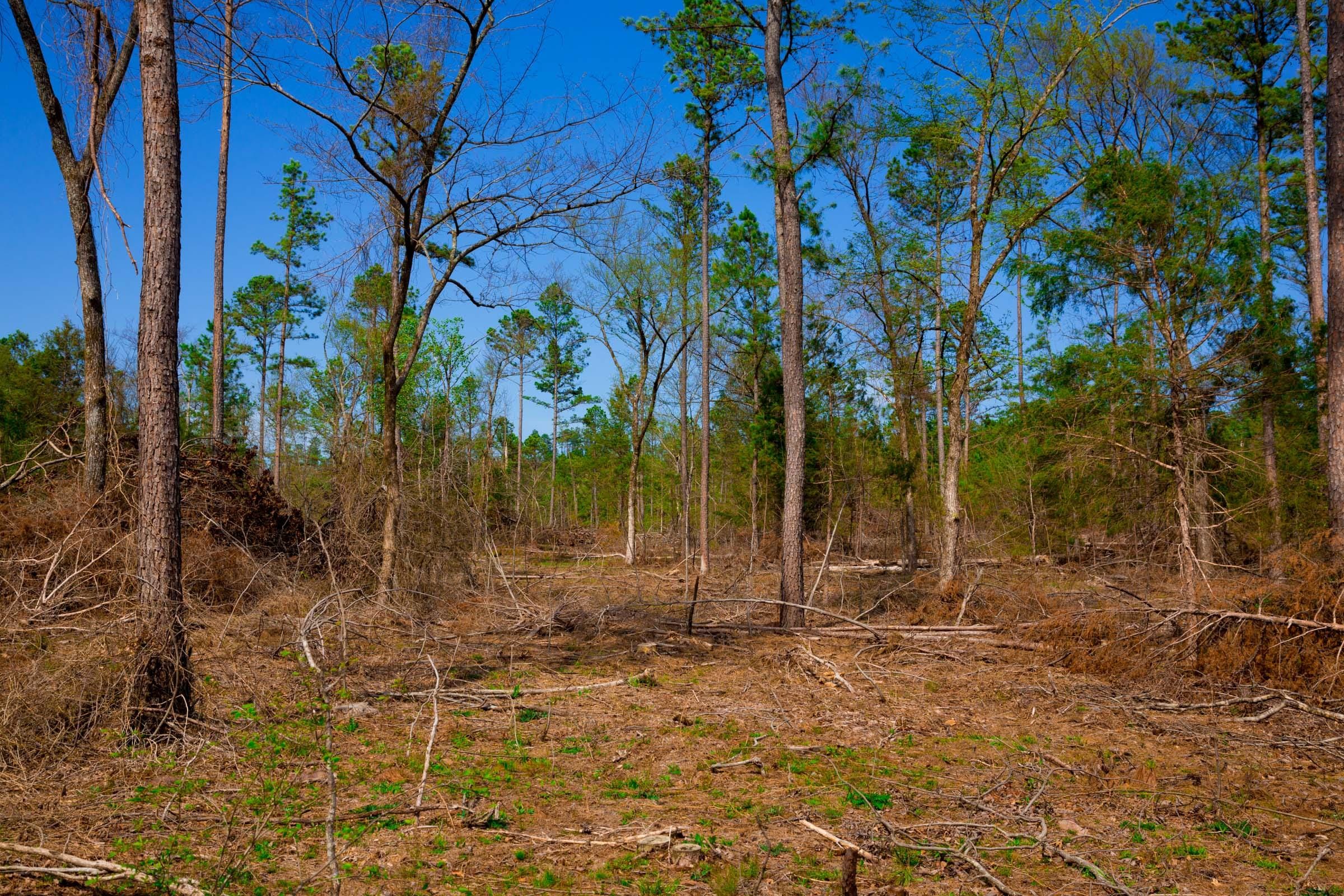 Stone Creek Phase II Tract 252 photo 5