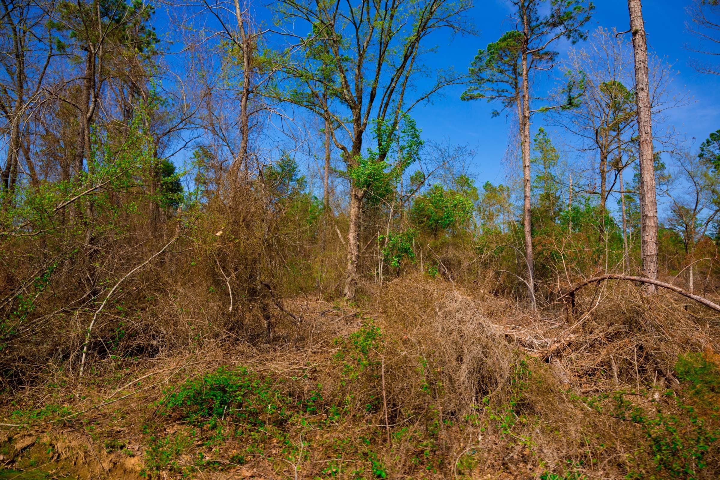 Stone Creek Phase II Tract 252 photo 8