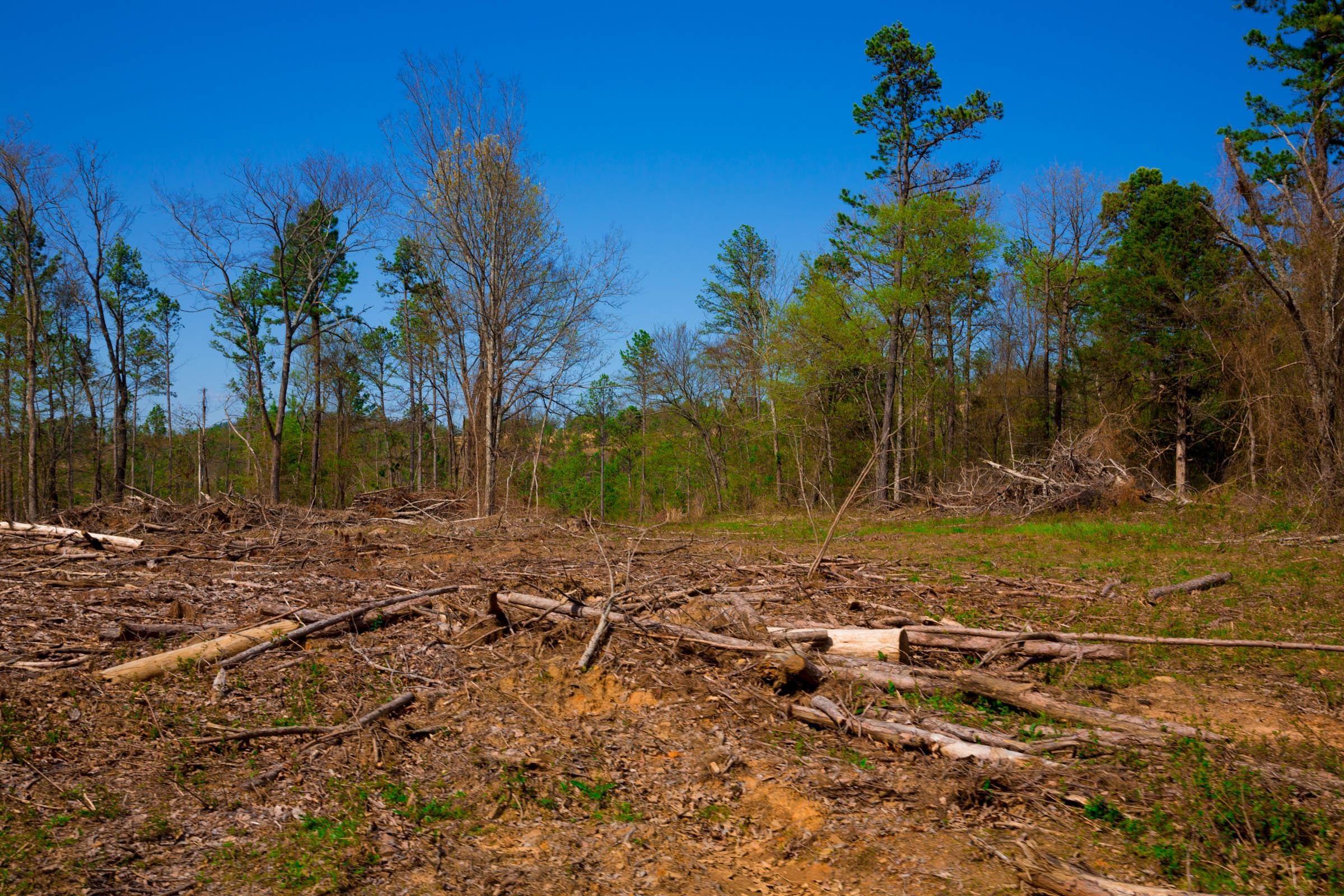 Stone Creek Phase II Tract 252 photo 9