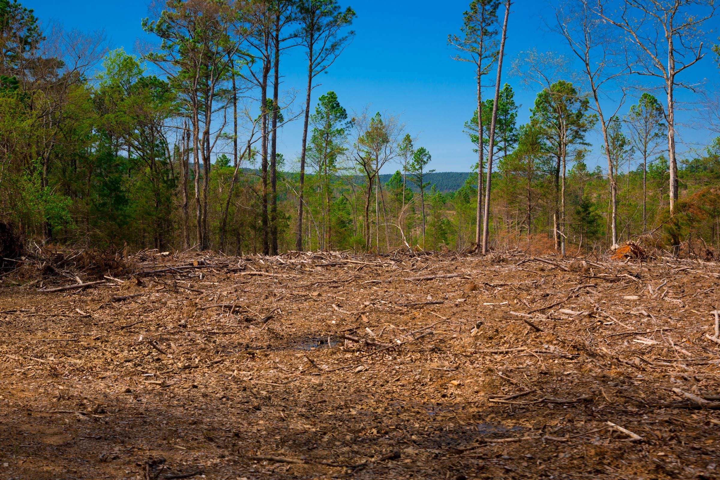 Stone Creek Phase II Tract 252 photo 10