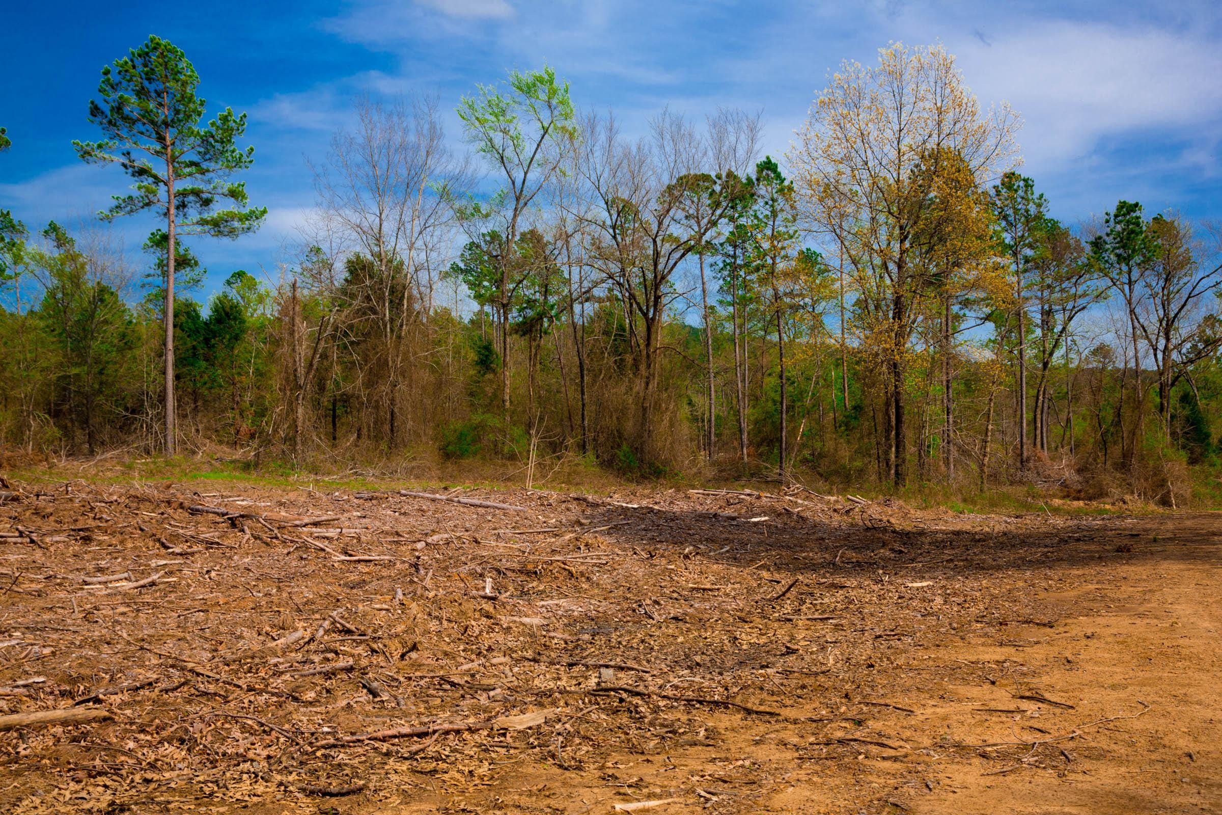 Stone Creek Phase II Tract 252 photo 11