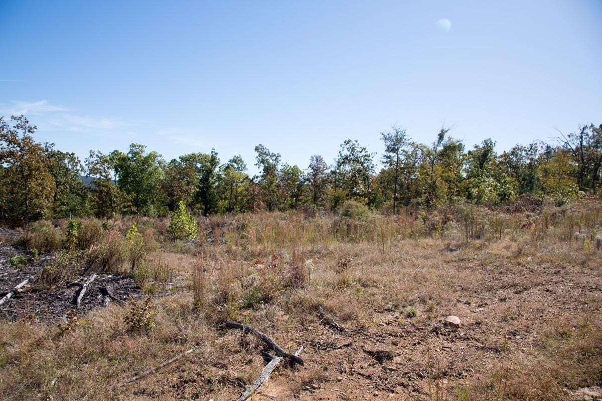 Stone Creek Phase I Tract 146 photo 5