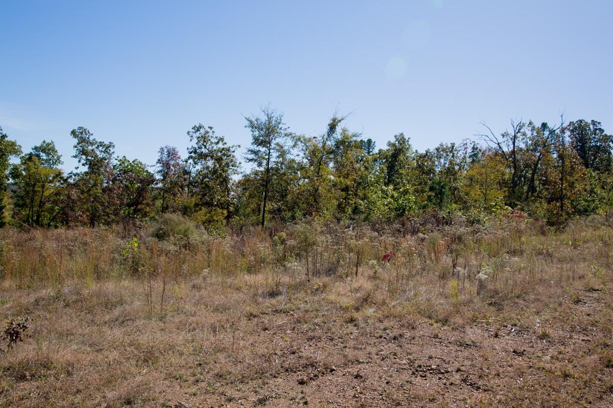 Stone Creek Phase I Tract 146 photo 6