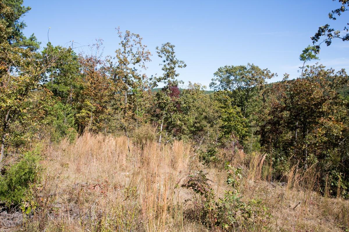 Stone Creek Phase I Tract 146 photo 8