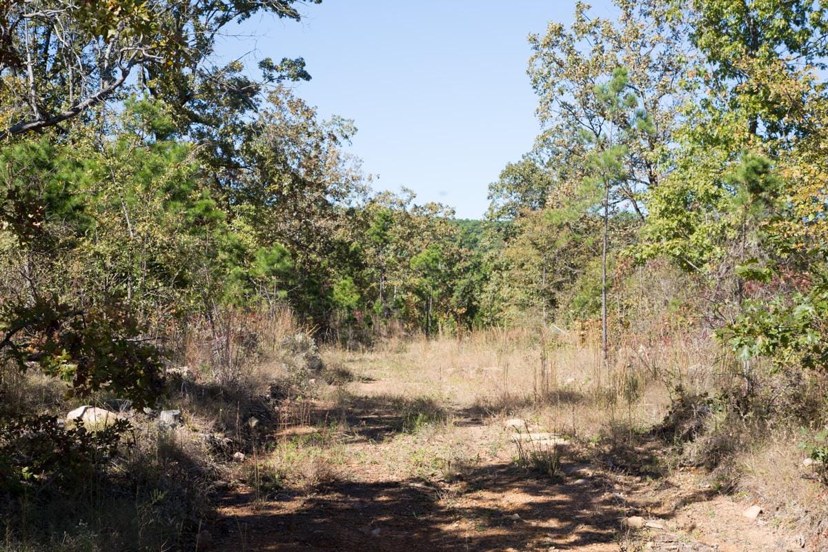 Stone Creek Phase I Tract 146 photo 7