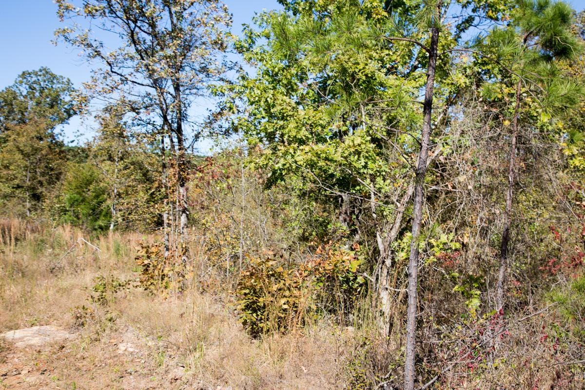 Stone Creek Phase I Tract 146 photo 11