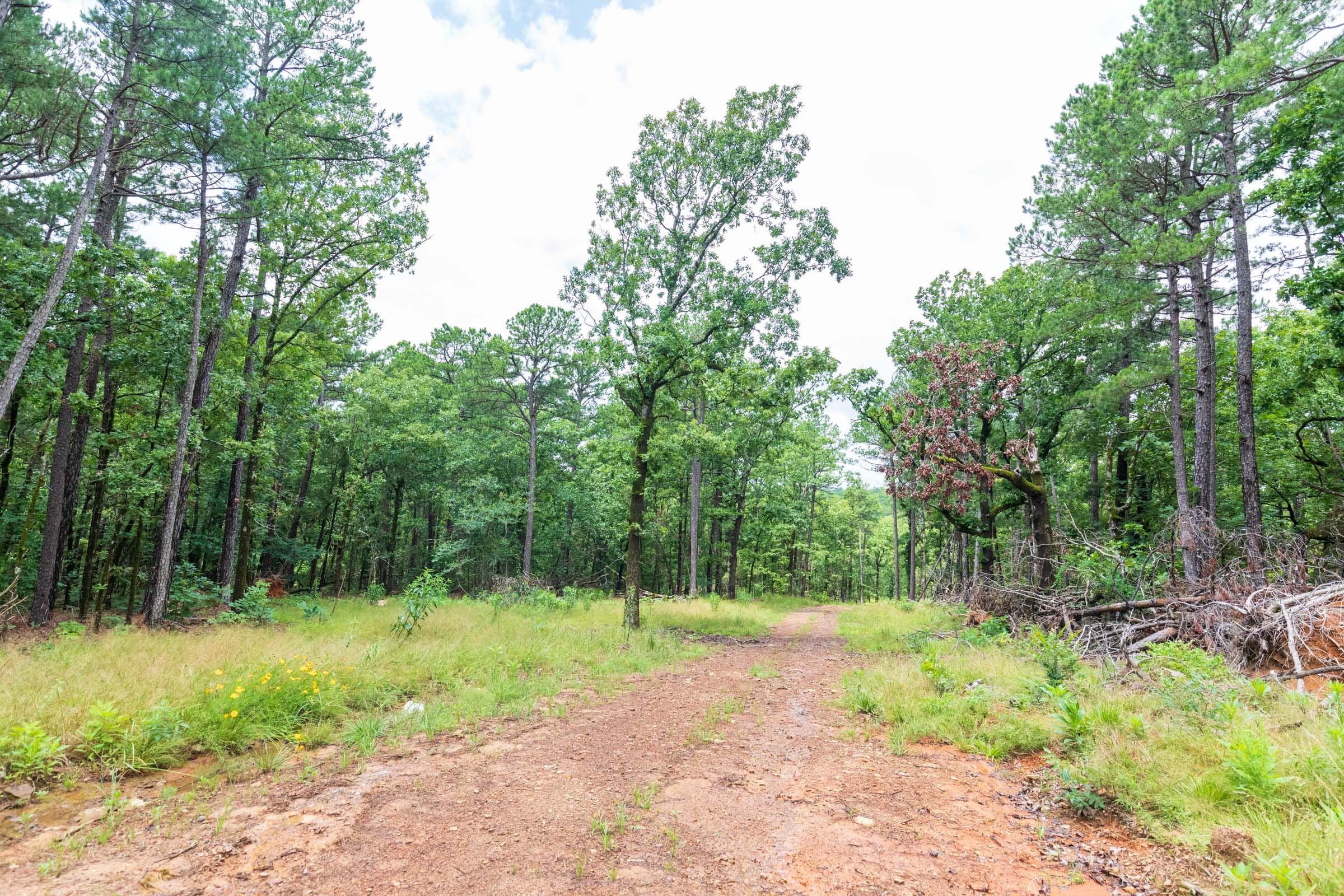 Stone Bridge Phase VI Tract 443 photo 11
