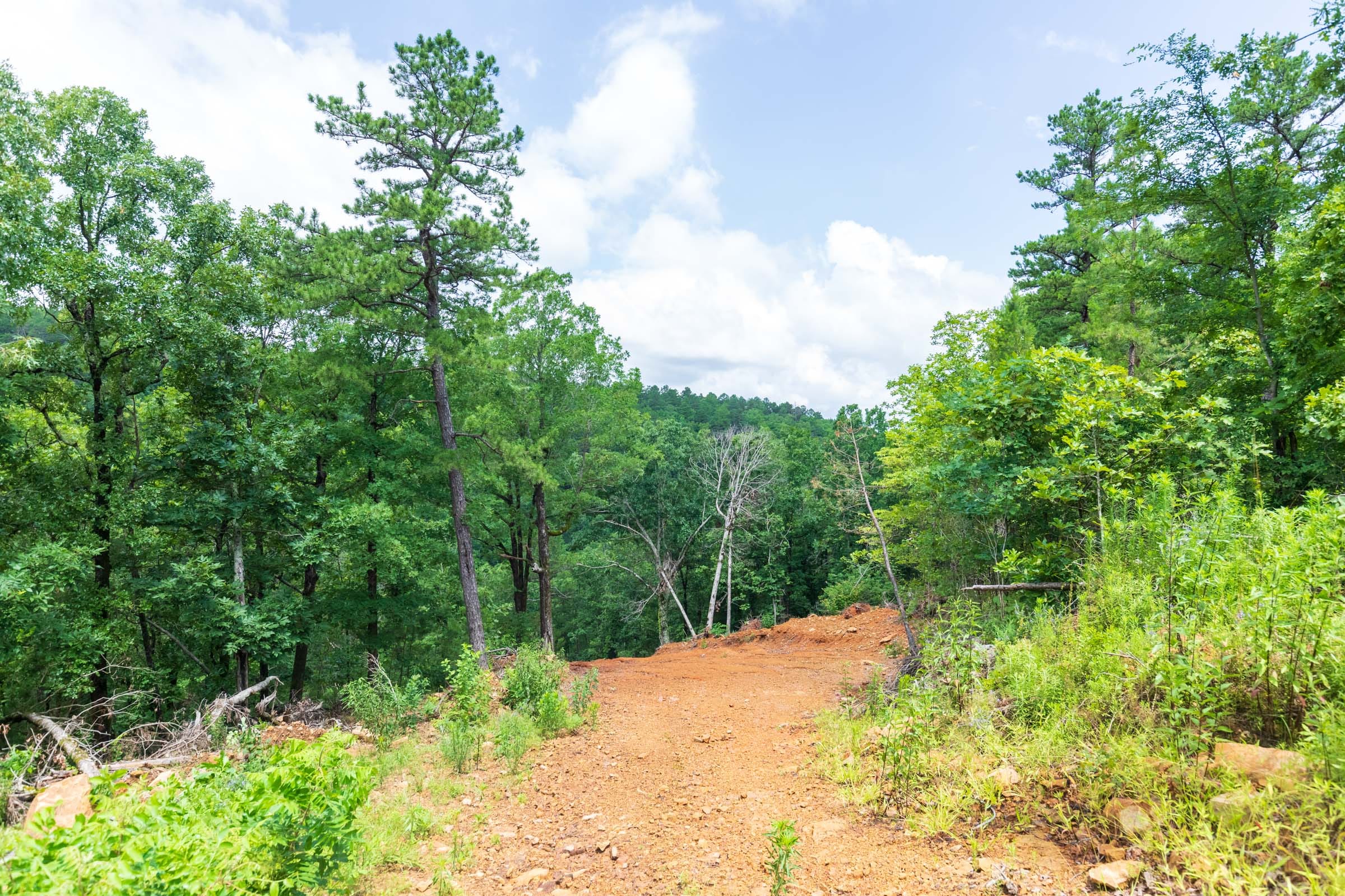 Stone Bridge Phase VI Tract 443 photo 7