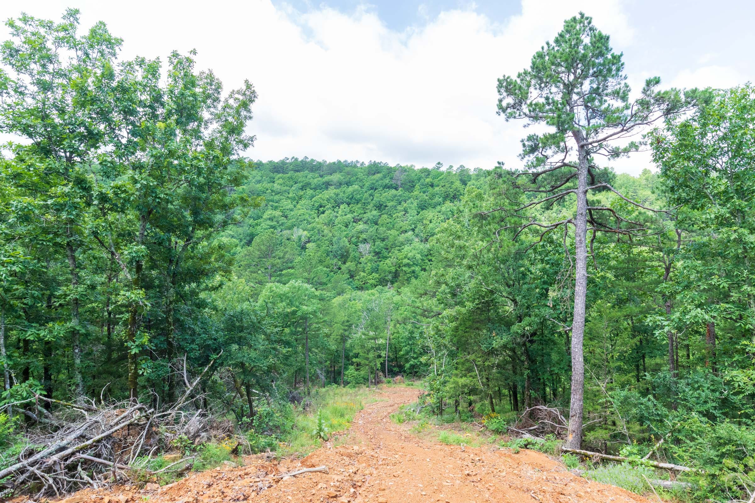Stone Bridge Phase VI Tract 443 photo 1
