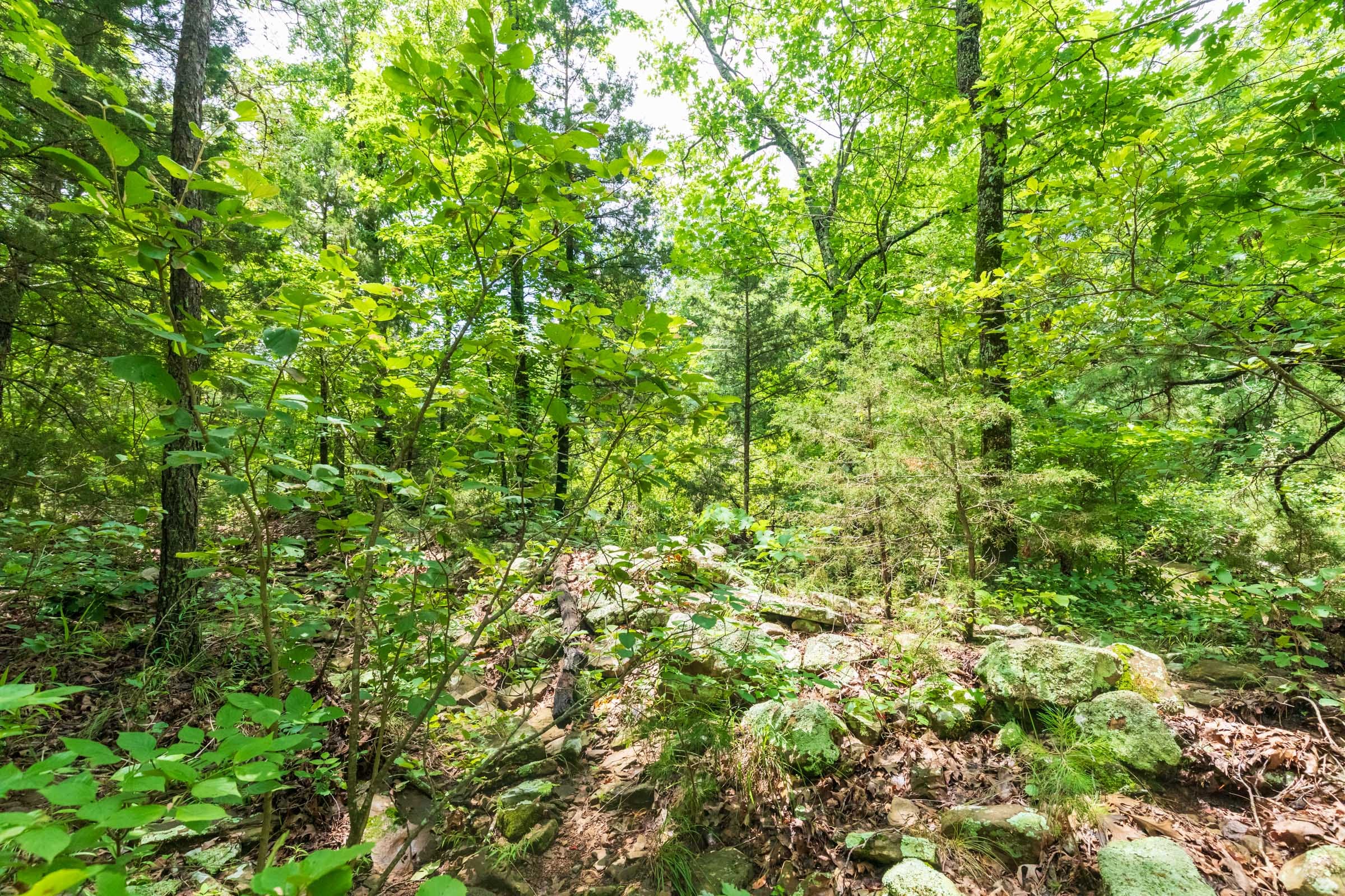 Stone Bridge Phase VI Tract 443 photo 6
