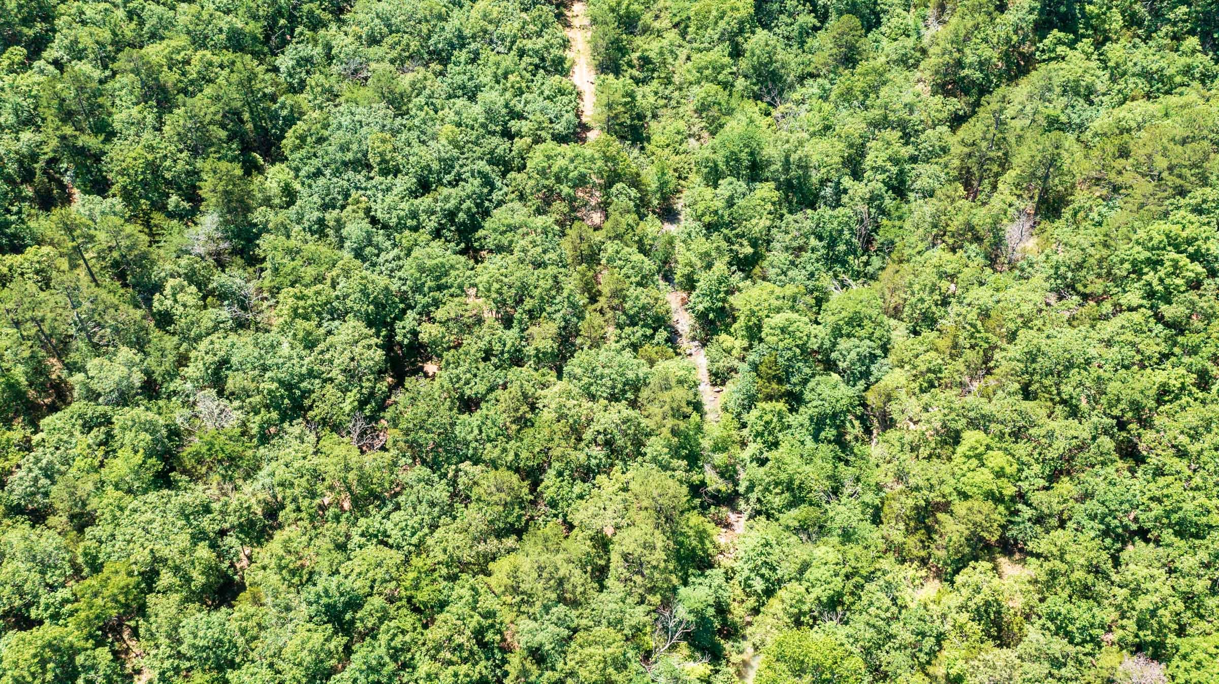 Stone Bridge Phase VI Tract 443 photo 12
