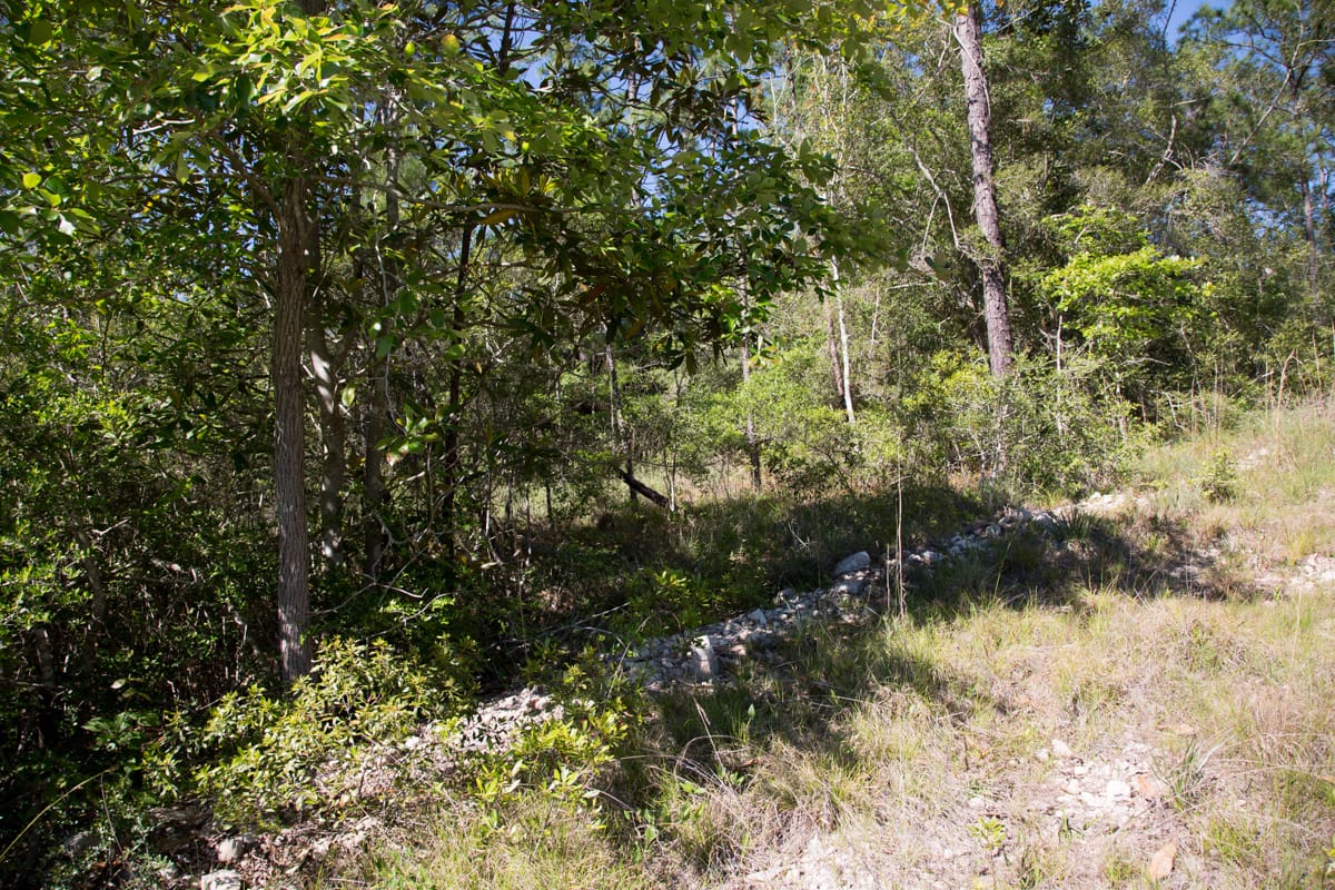 Rayburn Country Tract 204 photo 7