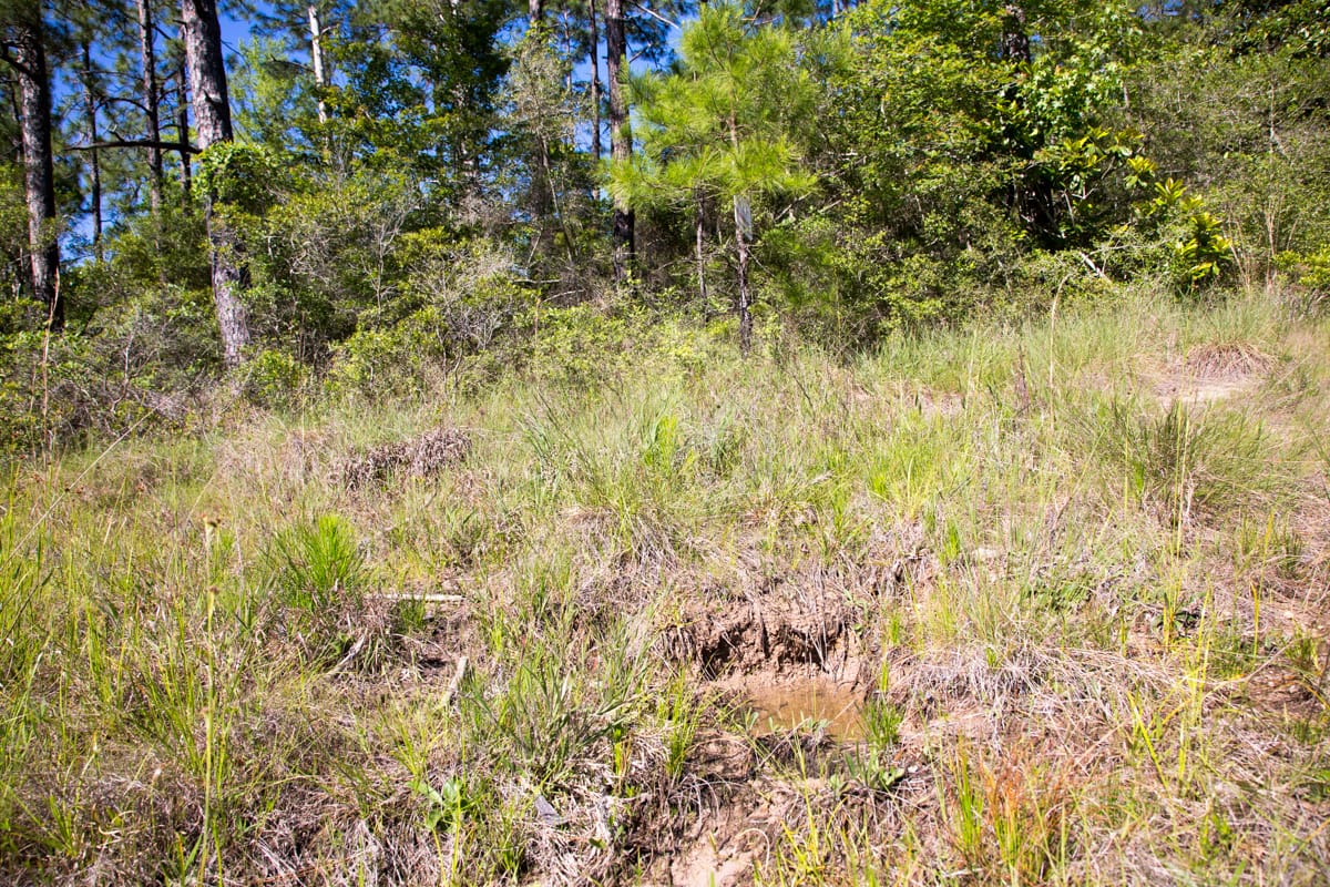 Rayburn Country Tract 204 photo 14