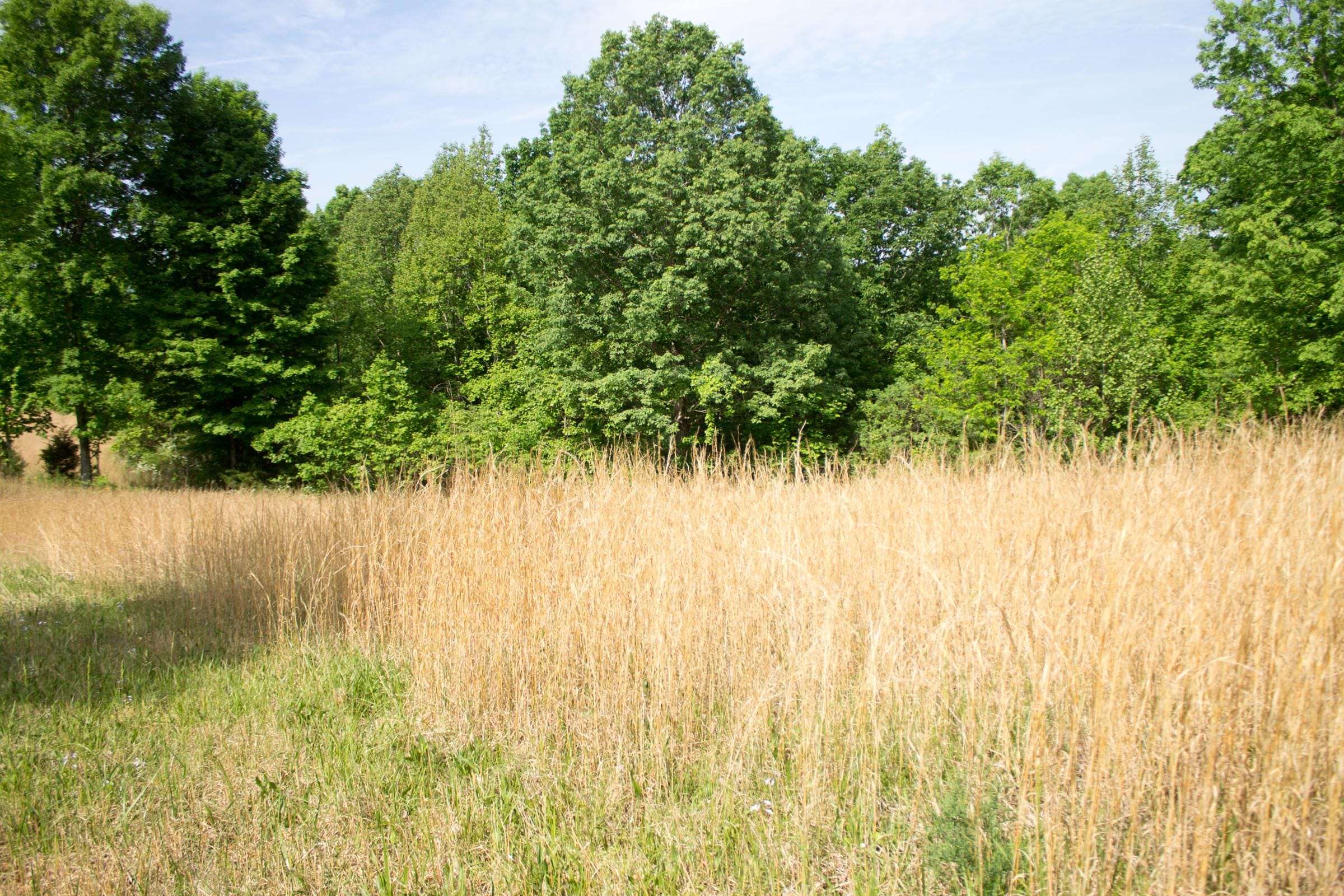 Laurel Ridge Tract 14 photo 1
