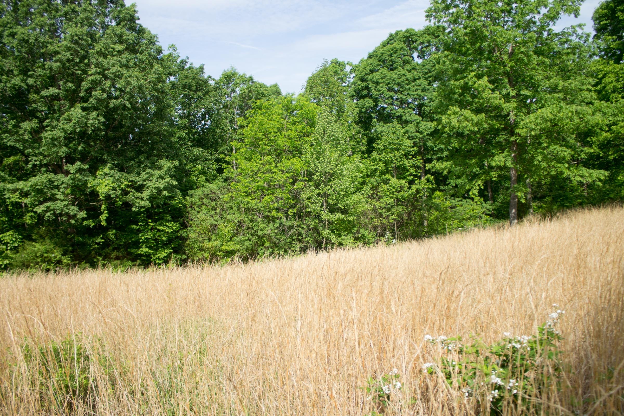 Laurel Ridge Tract 14 photo 2