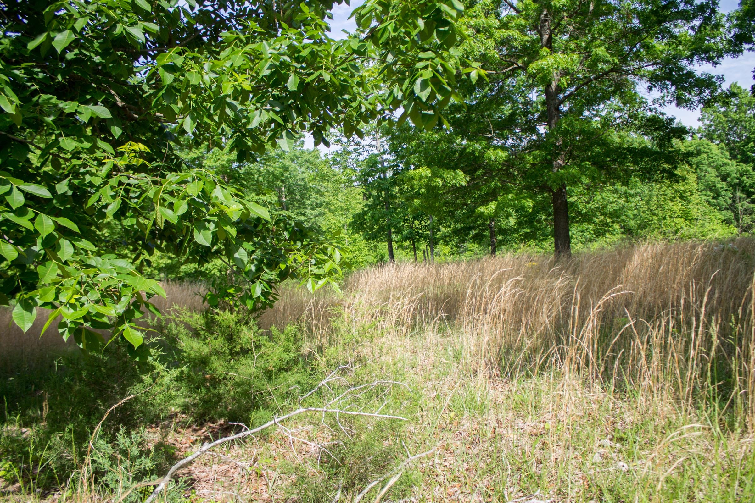 Laurel Ridge Tract 14 photo 6