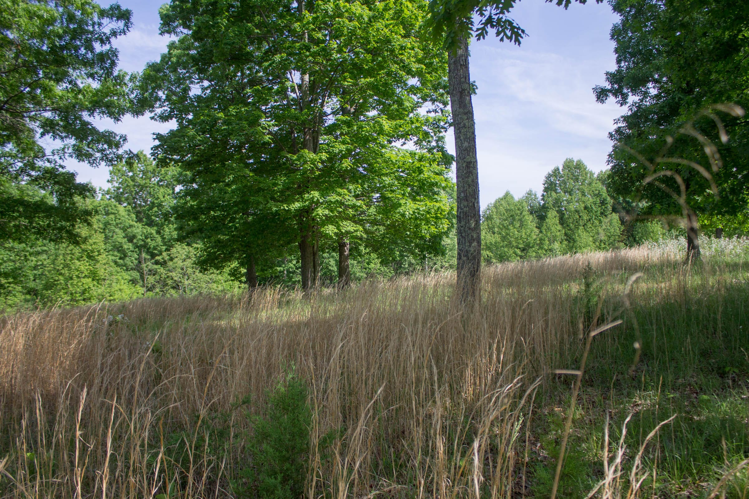 Laurel Ridge Tract 14 photo 8