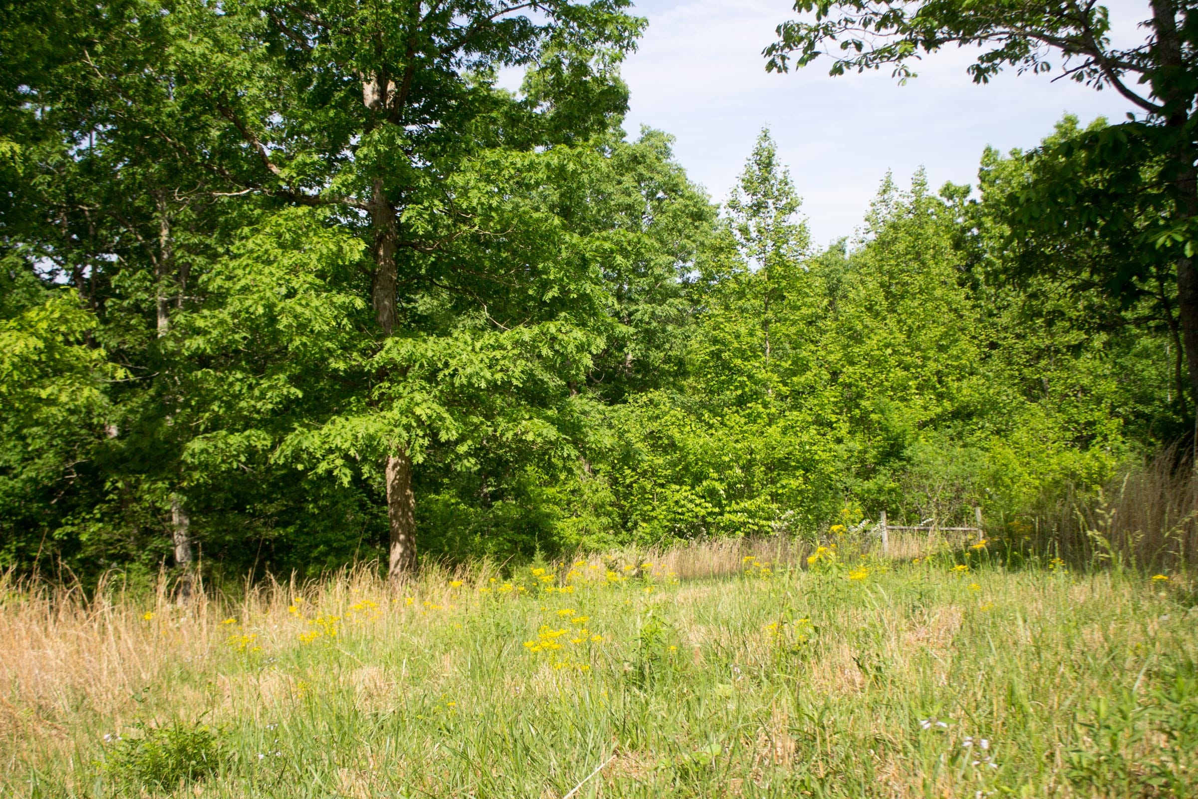 Laurel Ridge Tract 14 photo 9