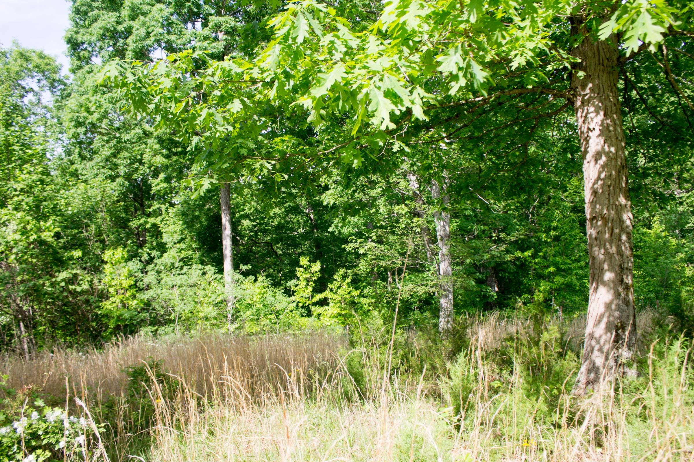 Laurel Ridge Tract 14 photo 12