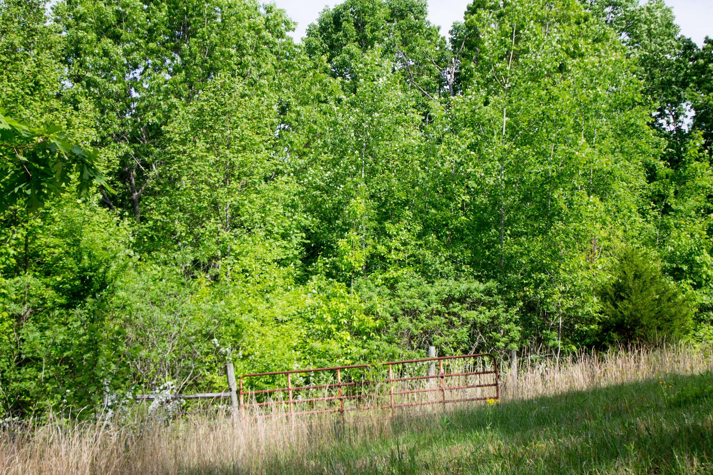 Laurel Ridge Tract 14 photo 13