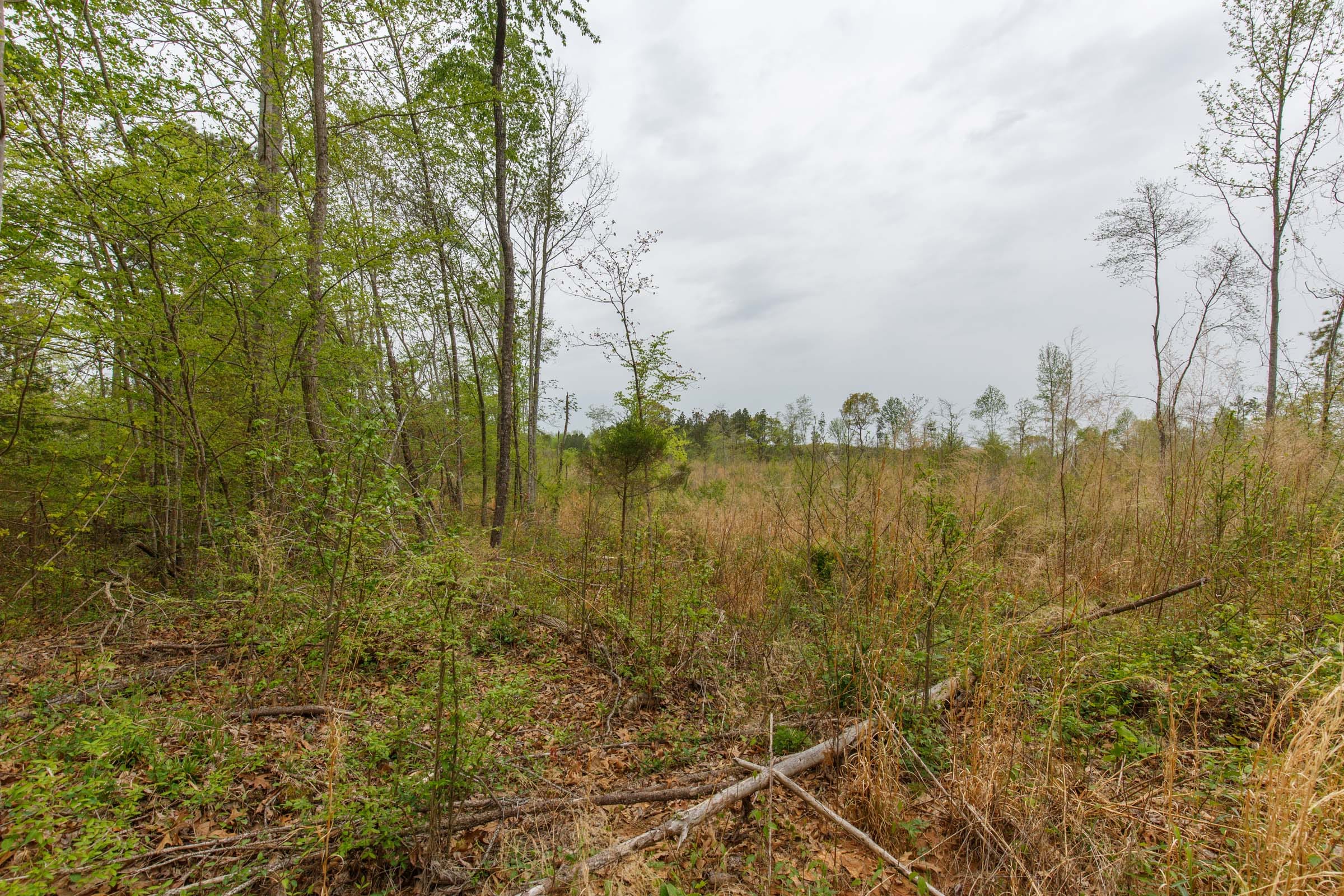 Twin Rivers Tract 20 photo 4