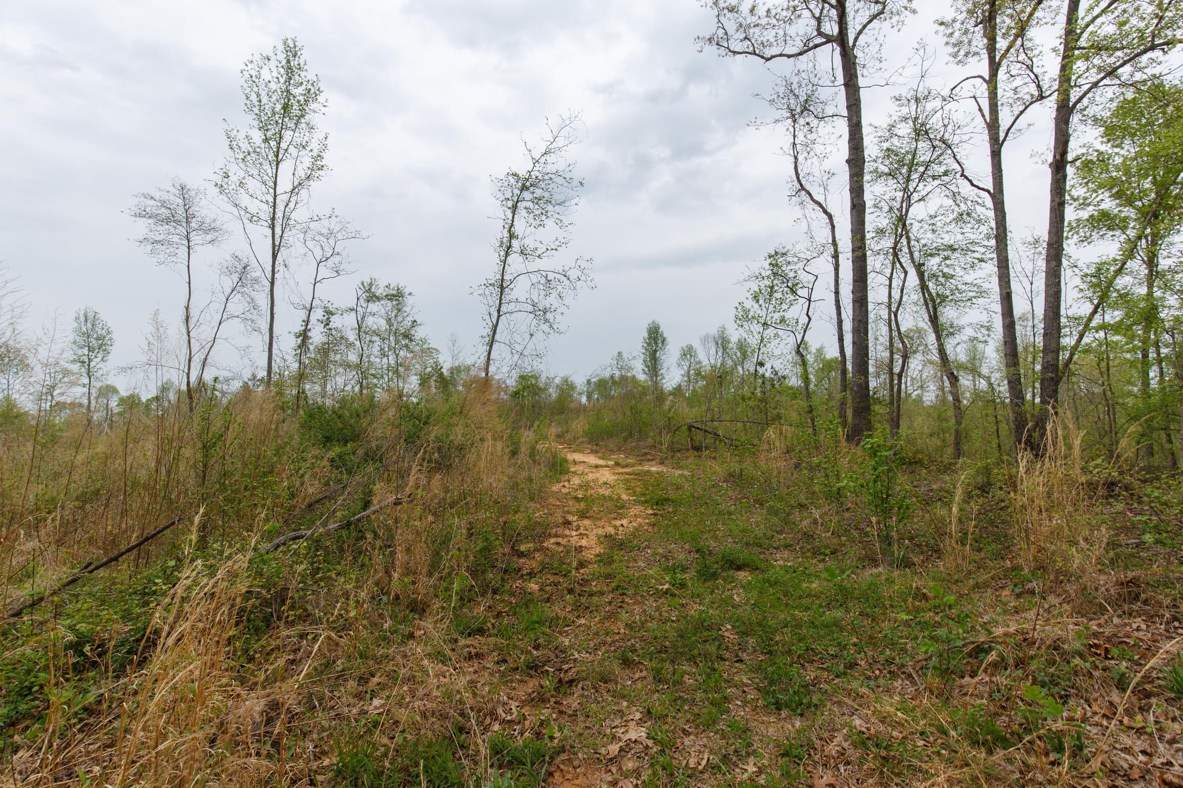 Twin Rivers Tract 20 photo 3
