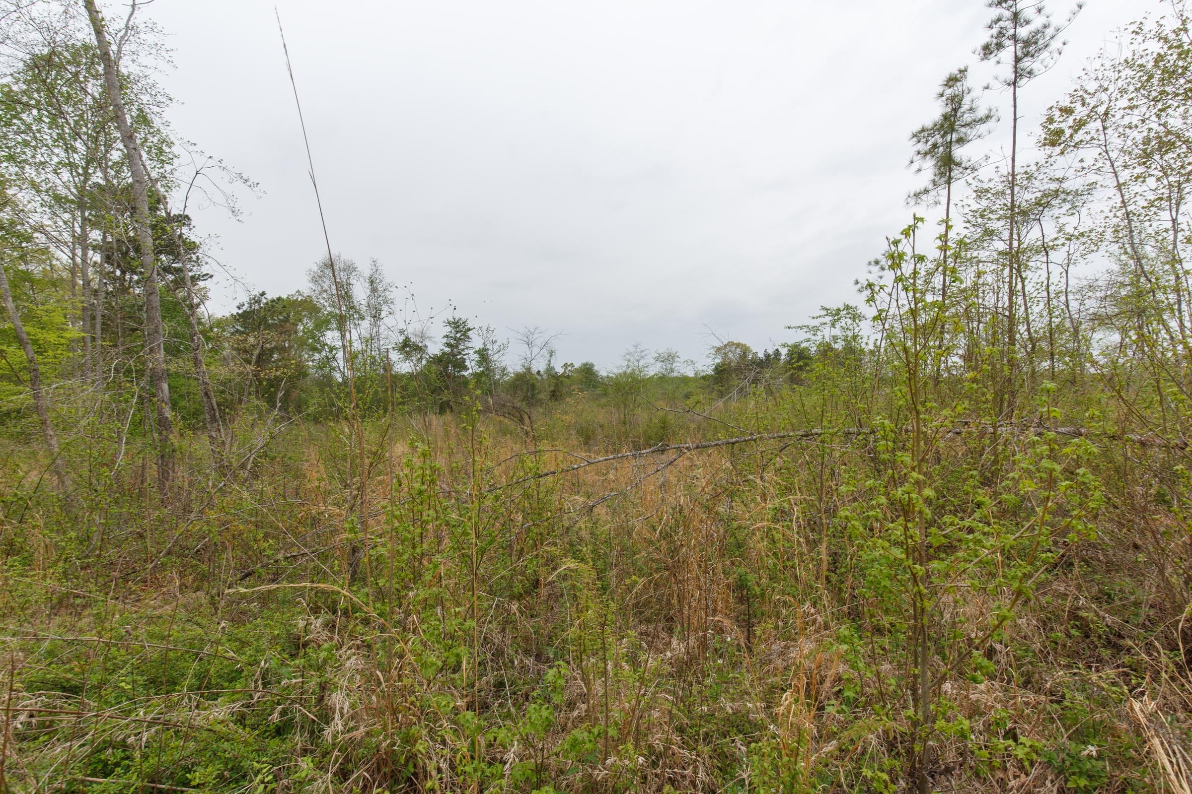 Twin Rivers Tract 20 photo 6