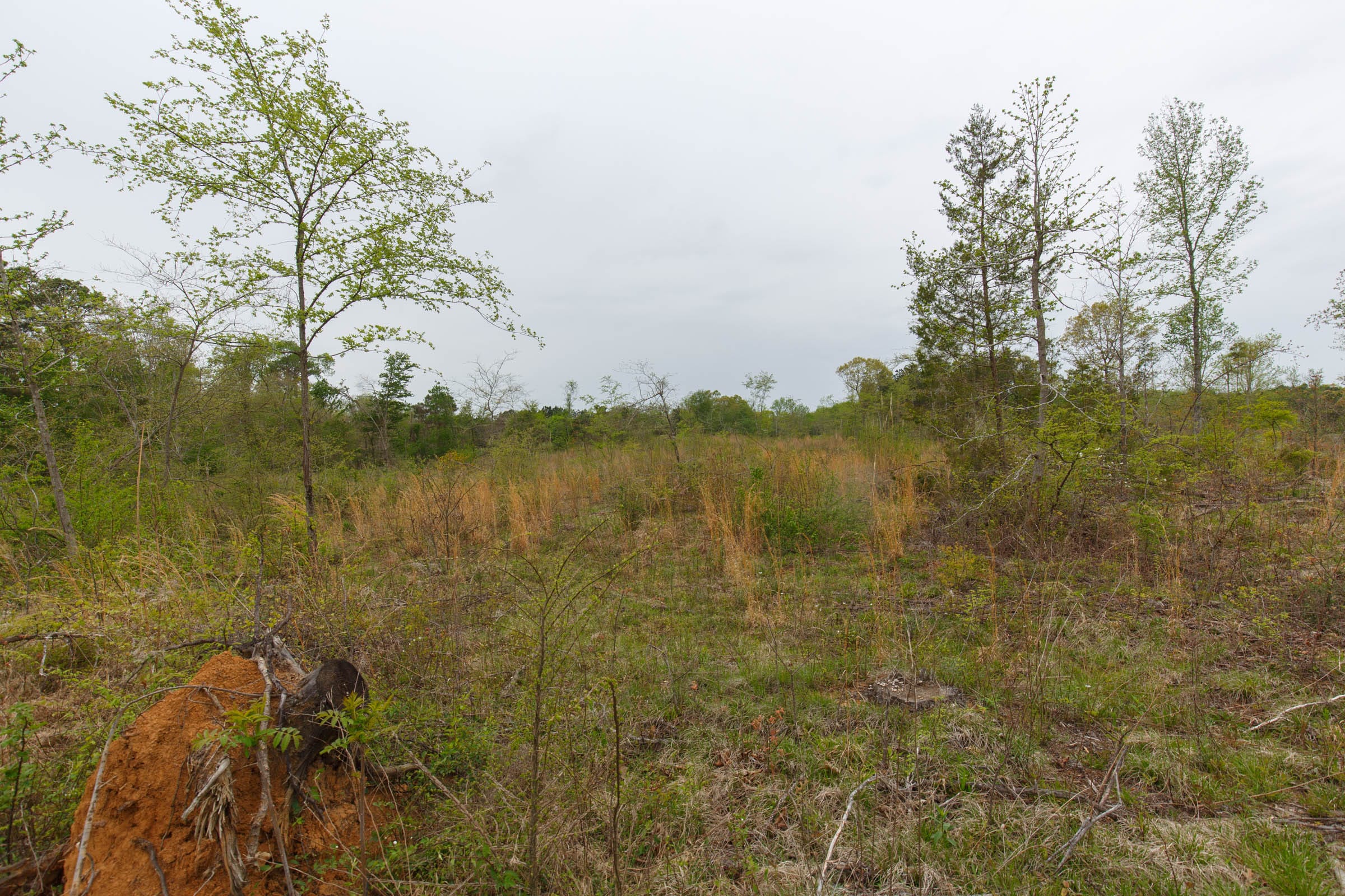 Twin Rivers Tract 20 photo 1