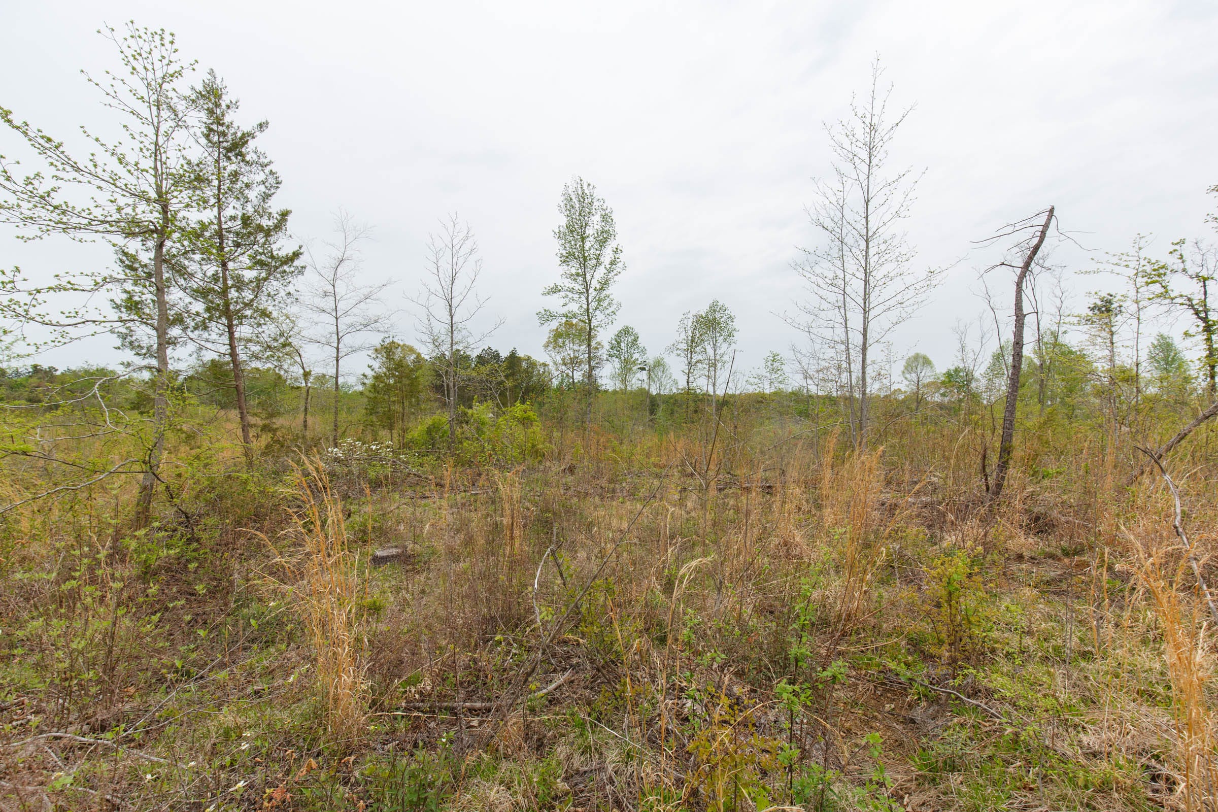 Twin Rivers Tract 20 photo 5