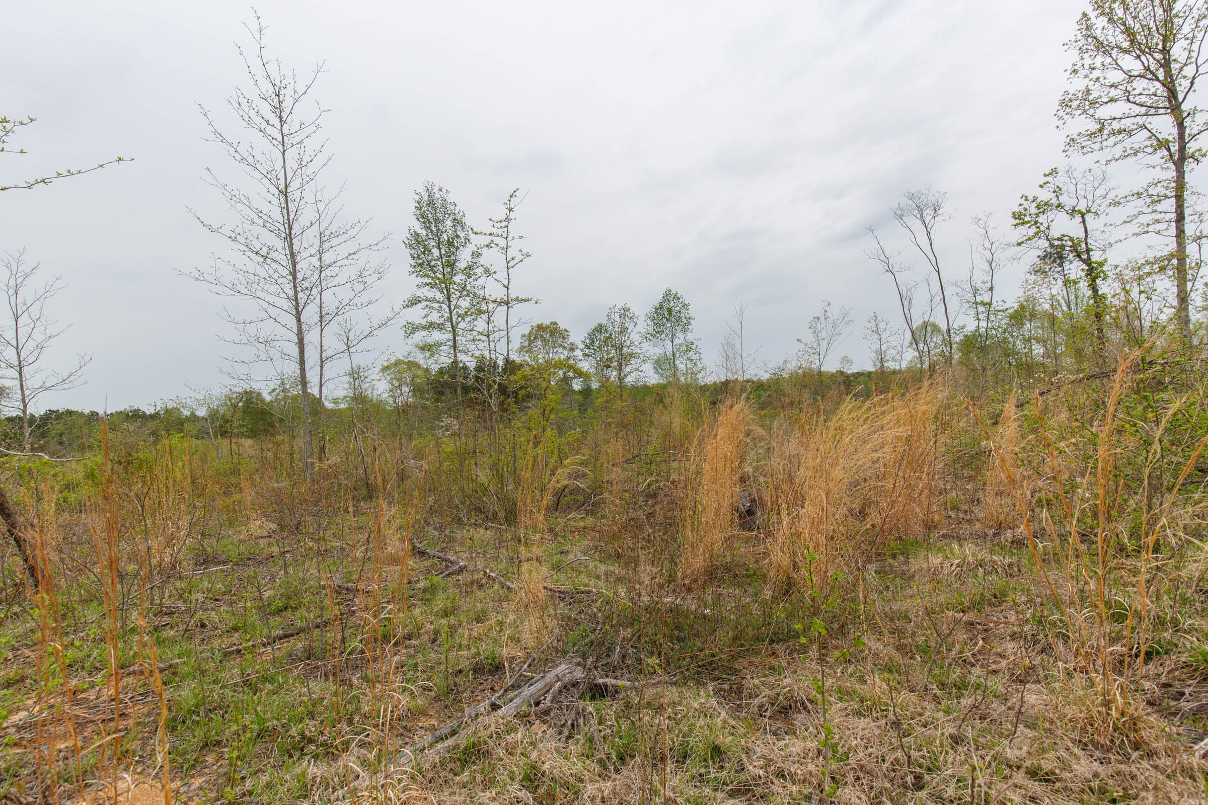Twin Rivers Tract 20 photo 7