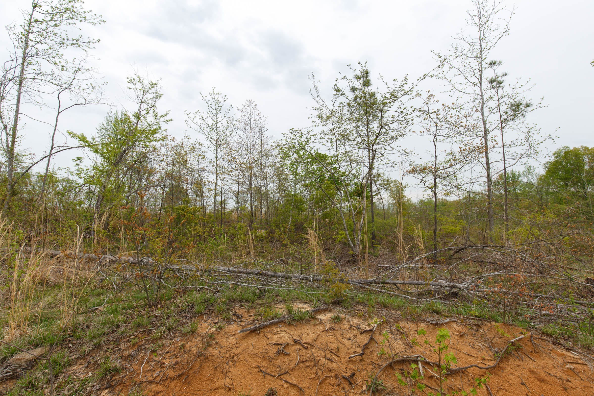 Twin Rivers Tract 20 photo 9
