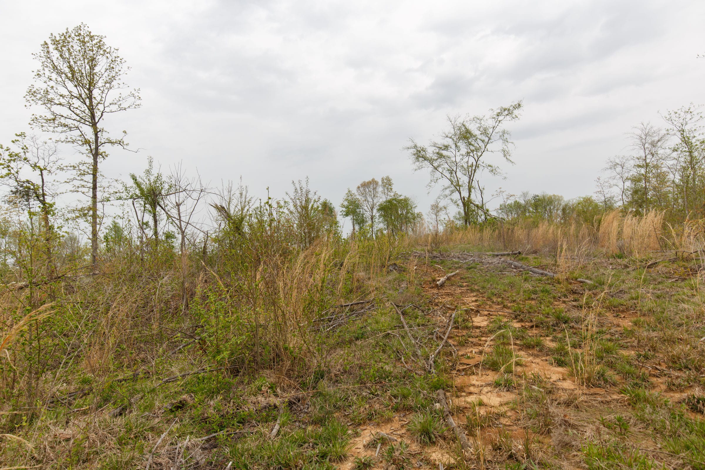 Twin Rivers Tract 20 photo 10