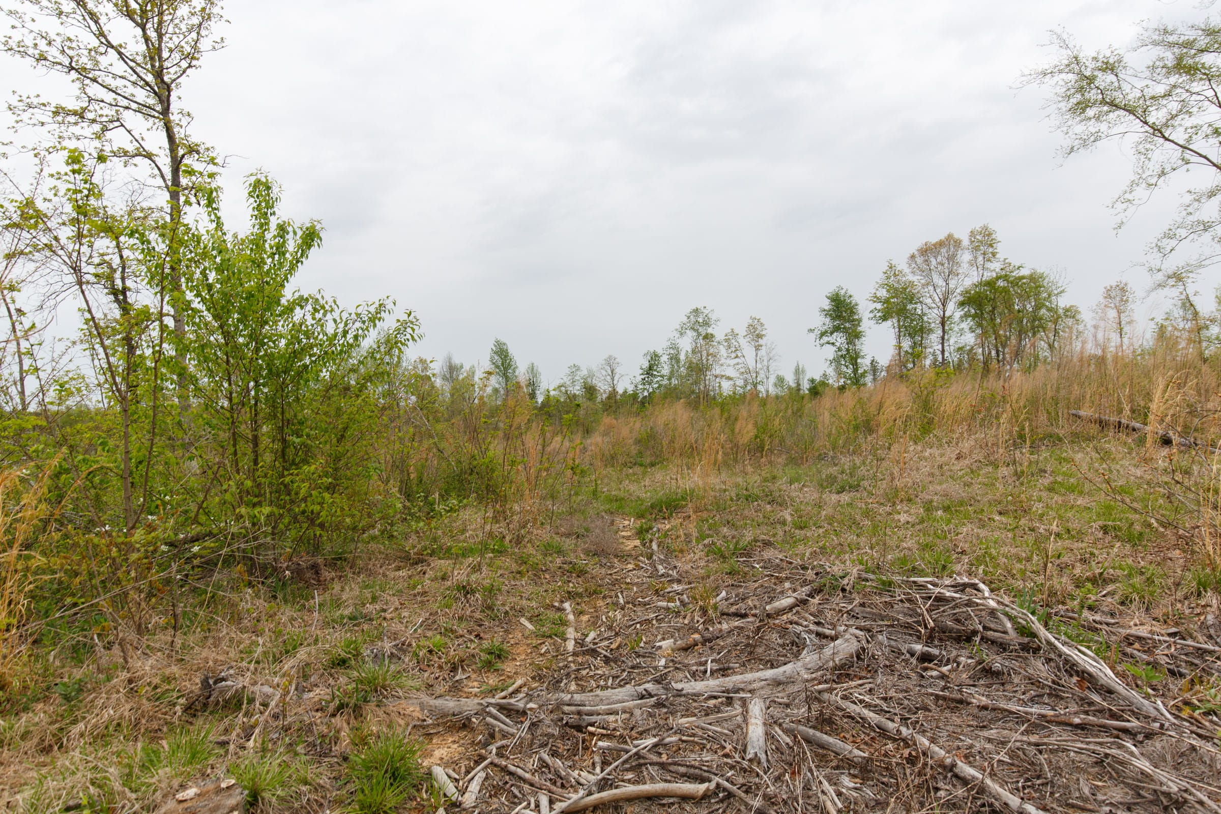Twin Rivers Tract 20 photo 11