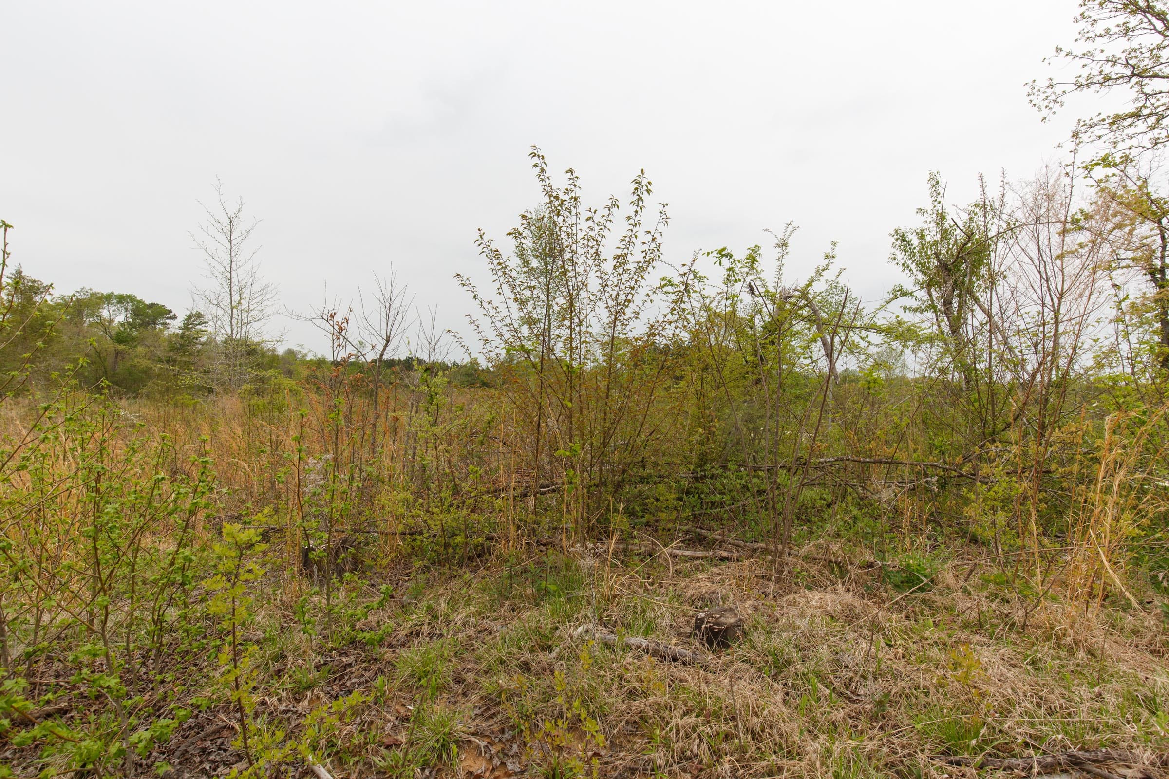 Twin Rivers Tract 20 photo 12