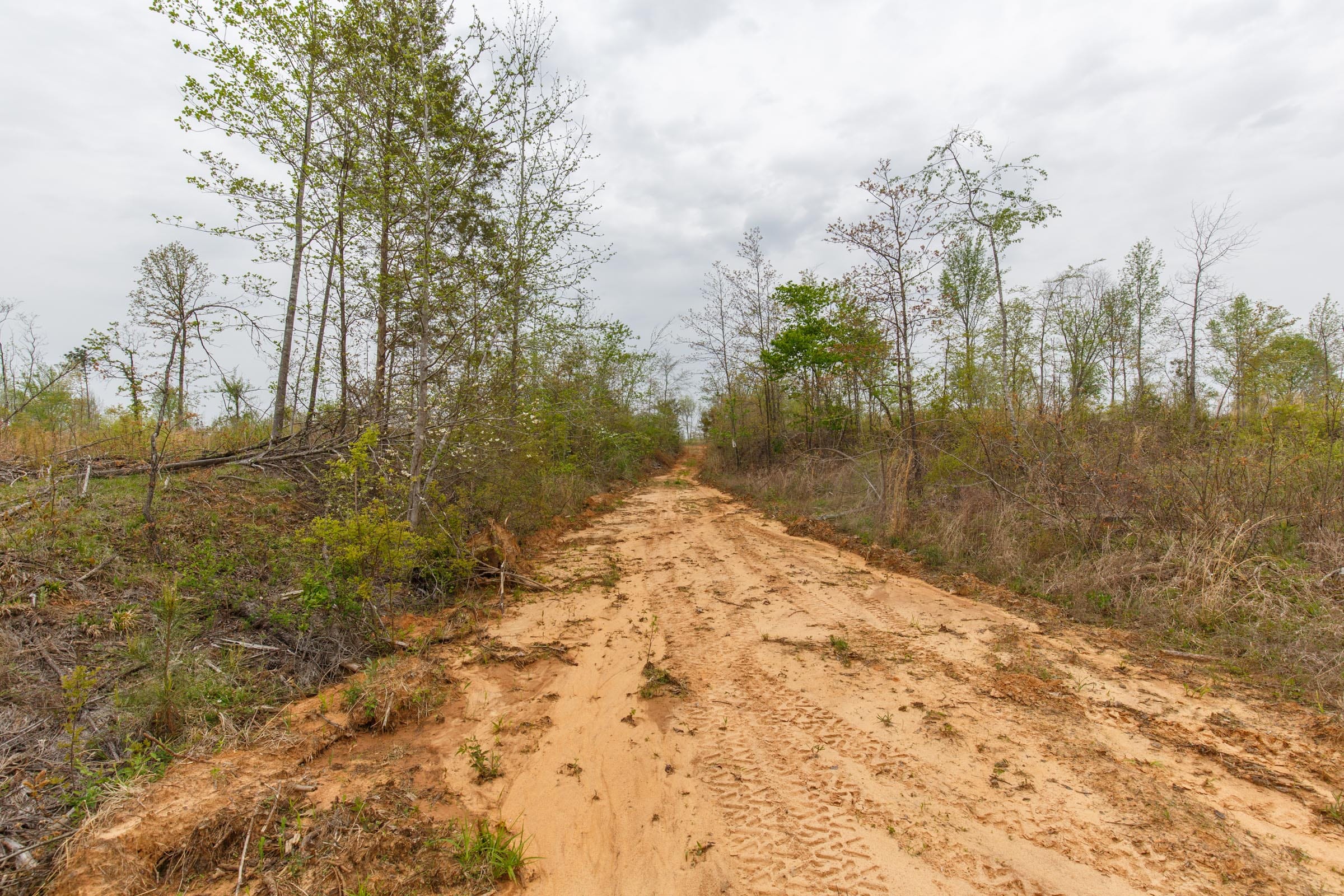 Twin Rivers Tract 20 photo 8