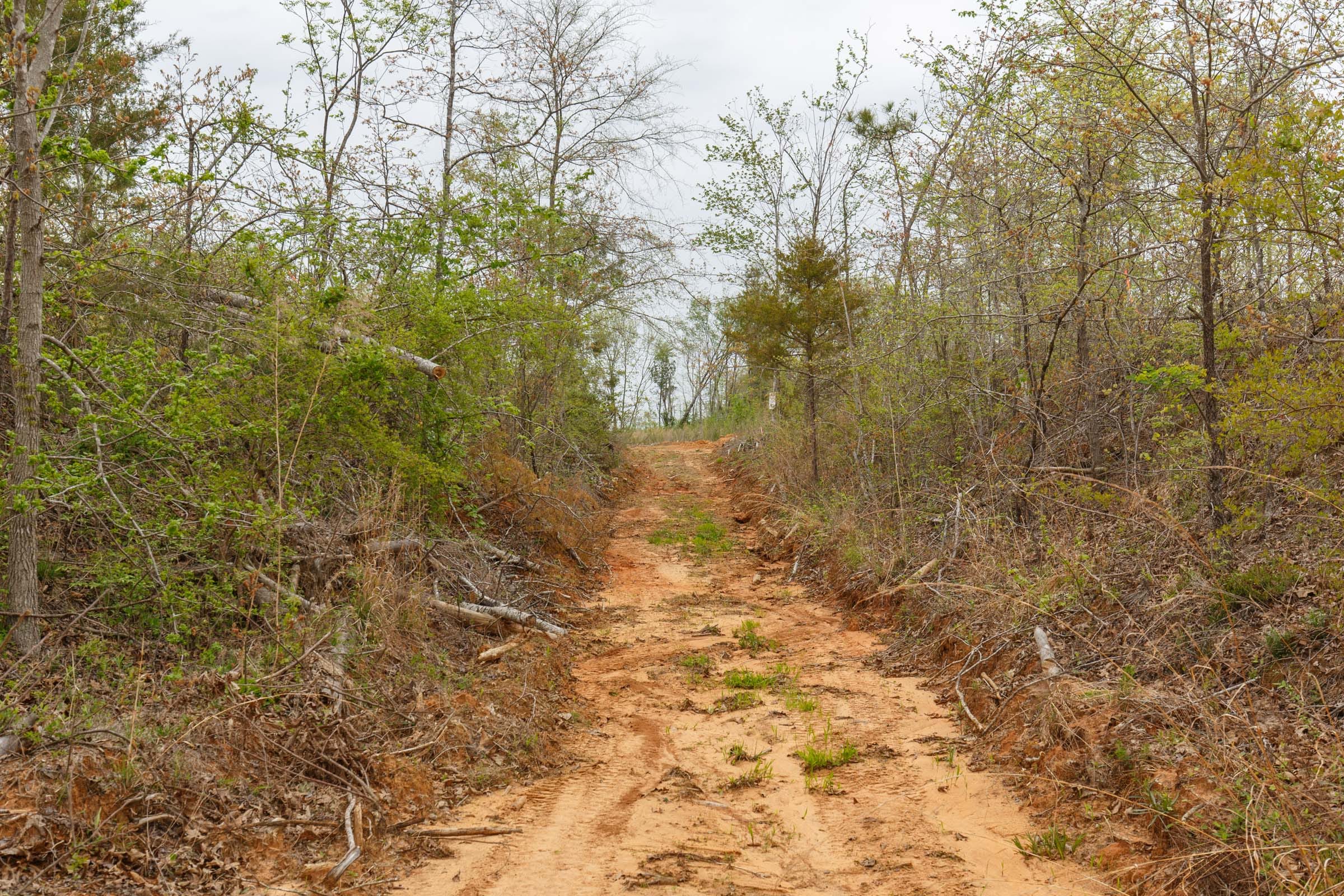 Twin Rivers Tract 20 photo 2