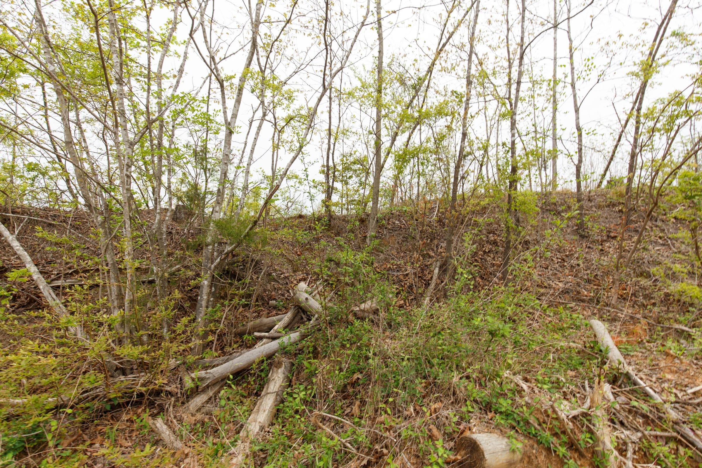 Twin Rivers Tract 20 photo 13