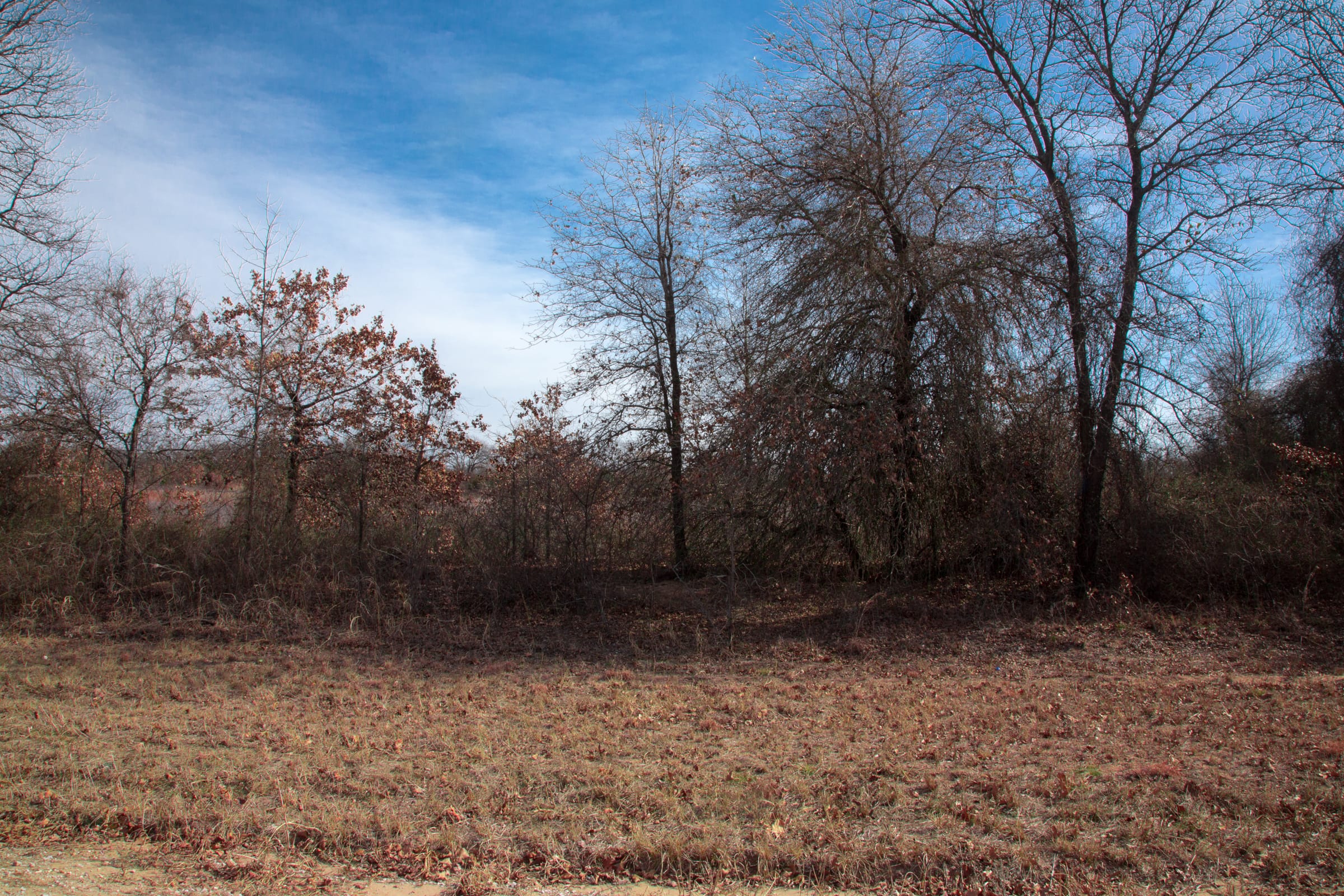 Legacy Ranch Tract 7 photo 12