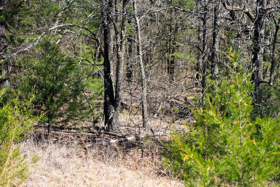 Montgomery Ranch Tract 4 photo 6