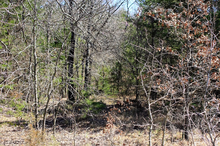 Montgomery Ranch Tract 4 photo 9