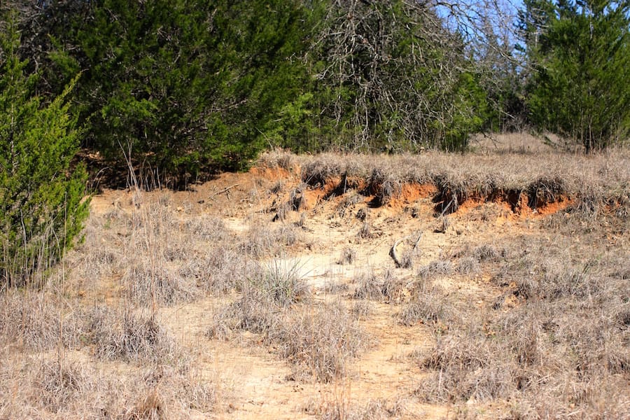 Montgomery Ranch Tract 4 photo 11